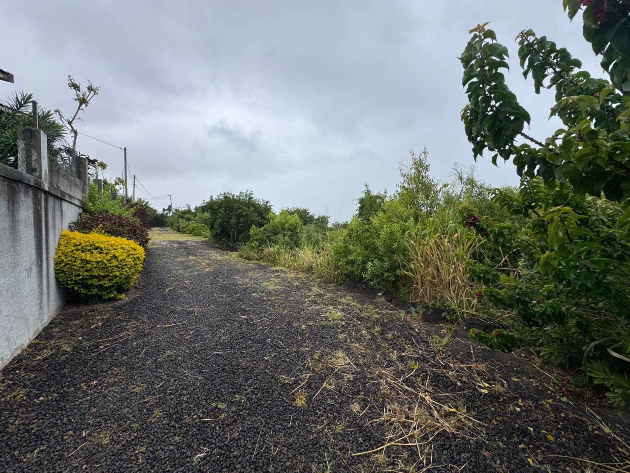 Property – LexpressProperty.com | 793967 | Ref01