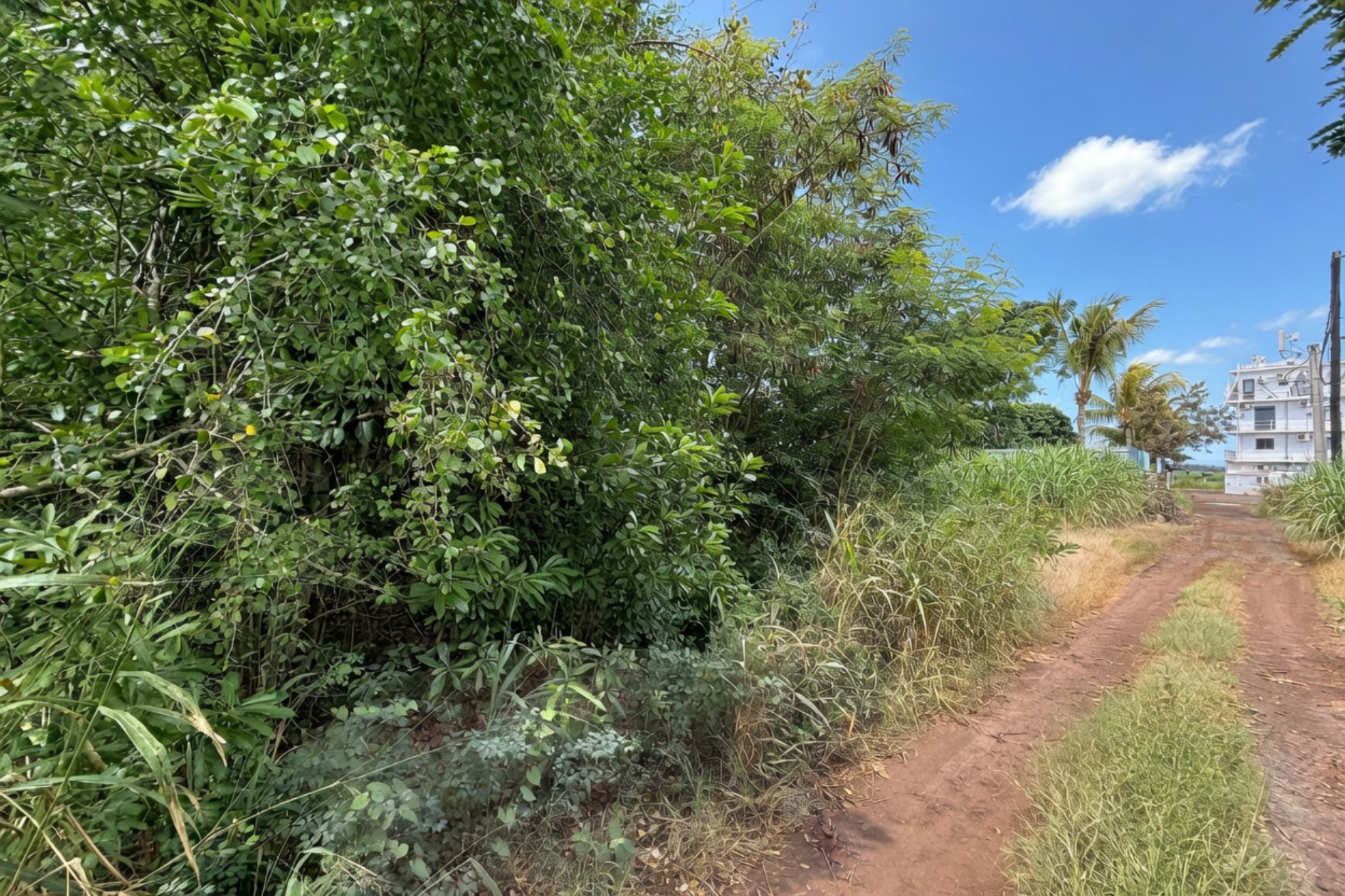 Residential land of 464 m2 for sale in The Vale, north, Mauritius – LexpressProperty.com | 793546 | Ref01