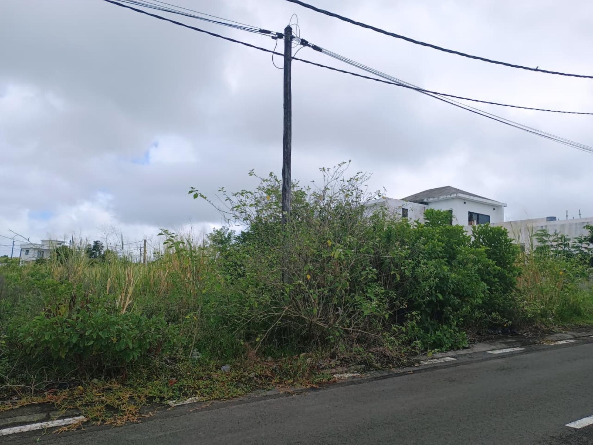Residential land of 482.2 m2 for sale in Mare d'Albert, south, Mauritius – LexpressProperty.com | 795141 | Ref01