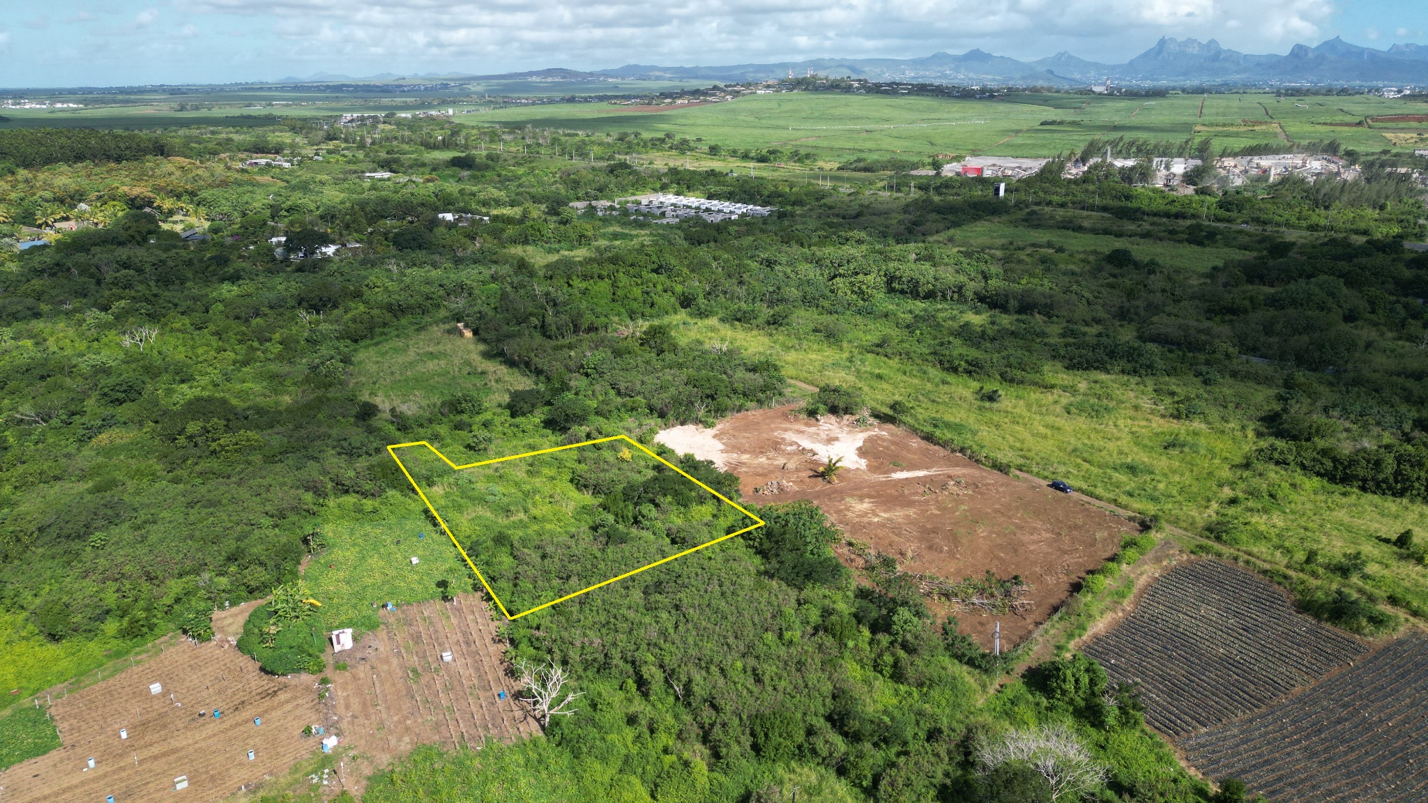 Agricultural land of 3131 m2 for sale in Forêt Daruty, north, Mauritius – LexpressProperty.com | 790103 | Ref01