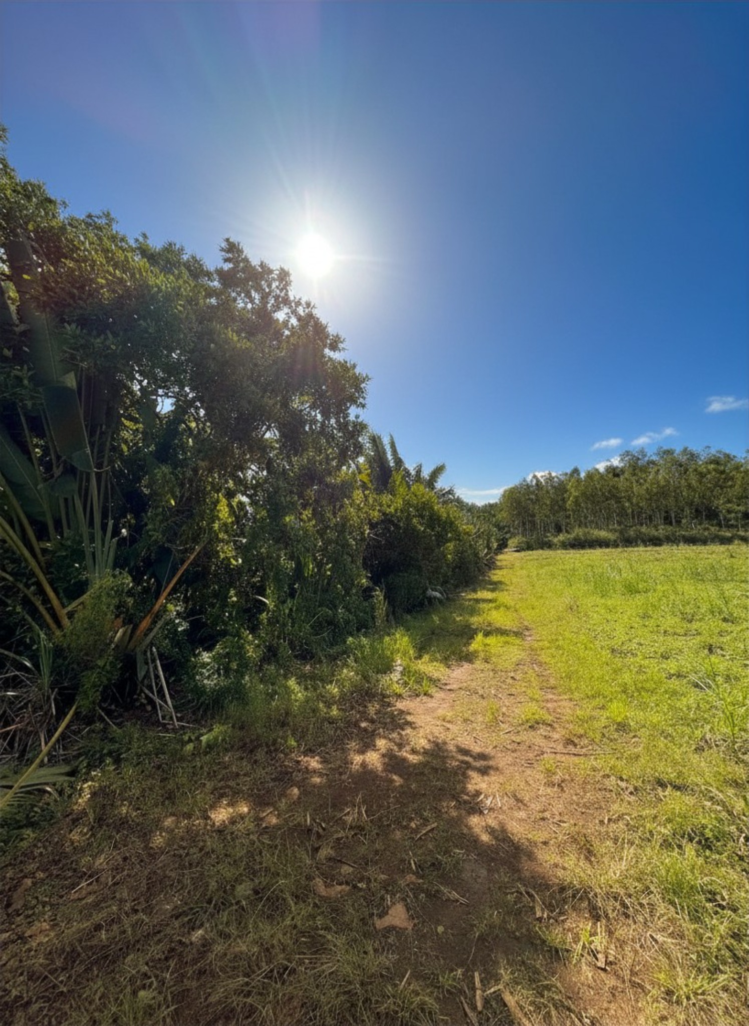 Agricultural land of 19964.72 m2 for sale in Riche en Eau, south, Mauritius – LexpressProperty.com | 795099 | Ref01