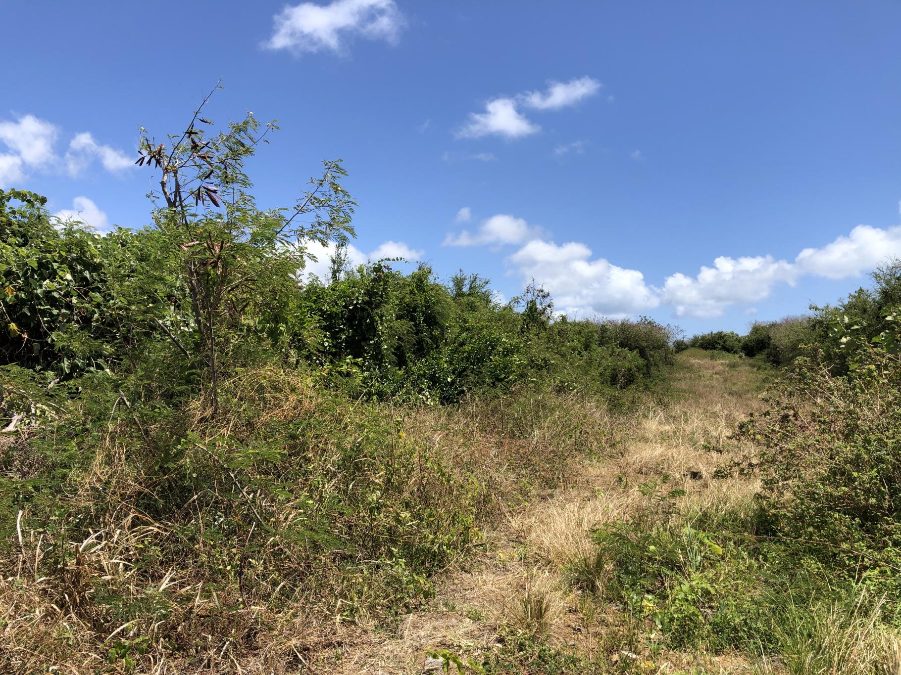 Residential land of 6750 m2 for sale in St Antoine, north, Mauritius – LexpressProperty.com | 795771 | Ref01