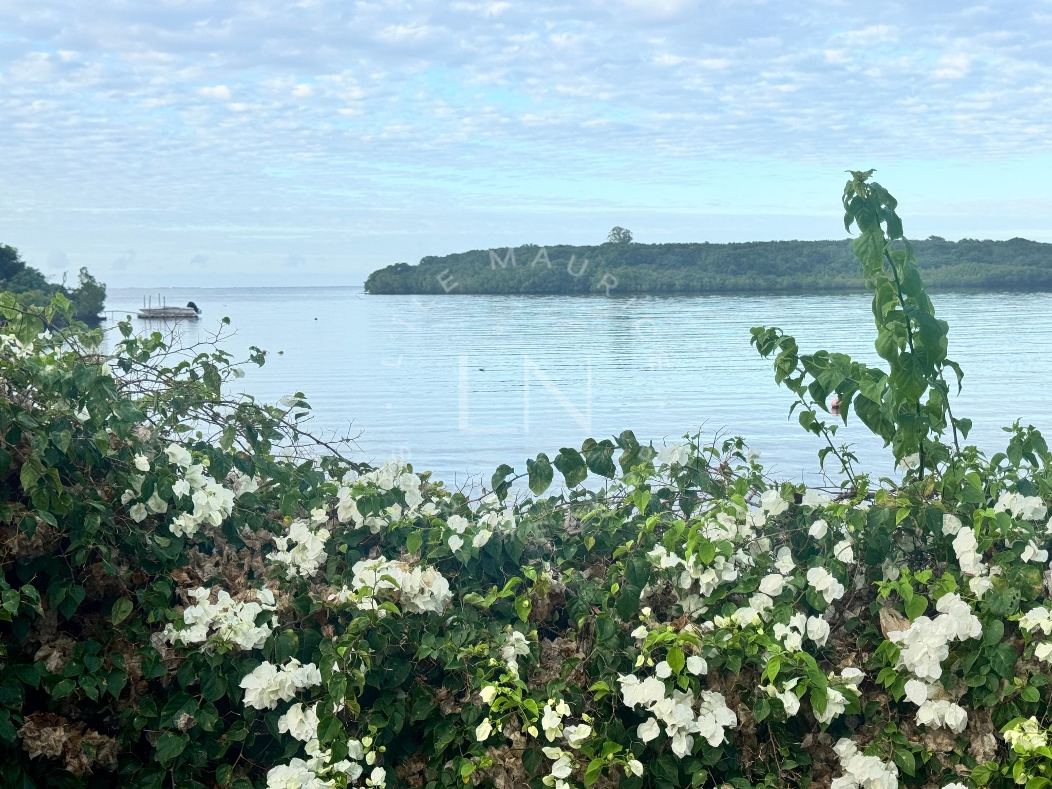 Maison / Villa 4 Chambre(s) en location à Poste de Flacq, est, île Maurice – LexpressProperty.com | 796568 | Ref01