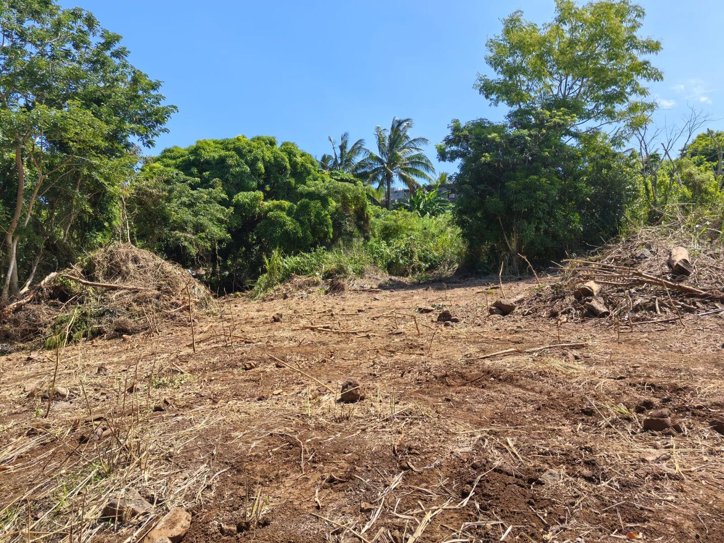 Agricultural land of 2840 m2 for sale in Baie du Cap, south, Mauritius – LexpressProperty.com | 796603 | Ref01