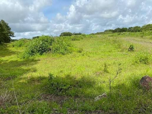 Residential land of 1065 m2 for sale in Tamarin, west, Mauritius – LexpressProperty.com | 797993 | Ref01