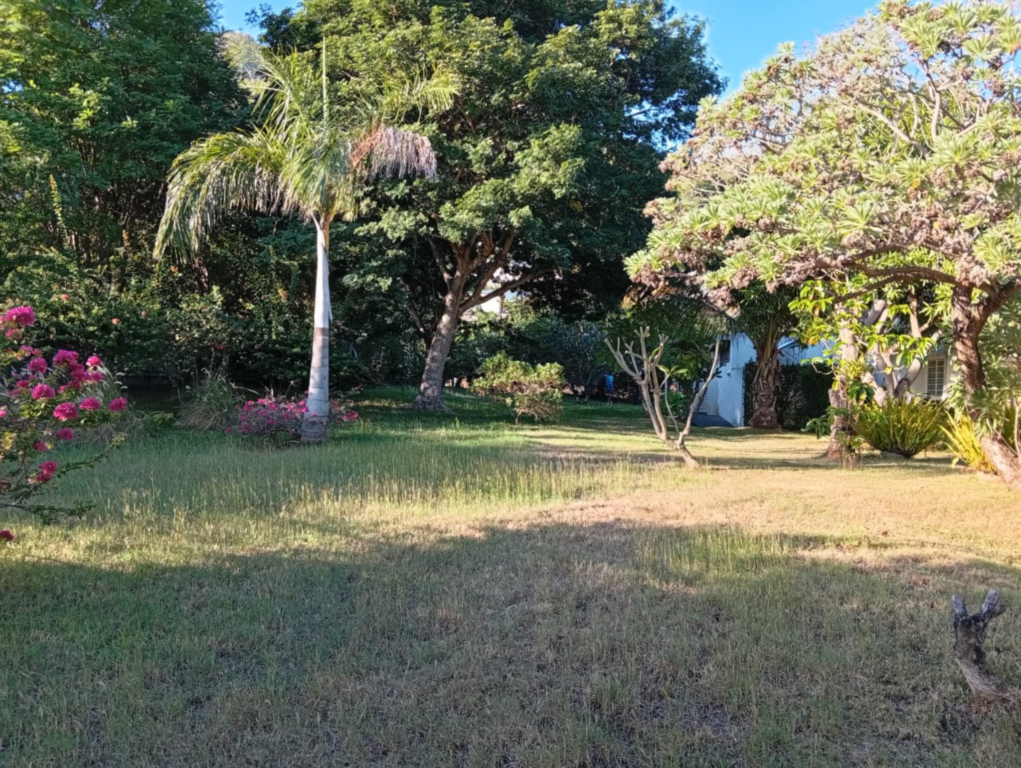 Property – LexpressProperty.com | 793354 | Ref01