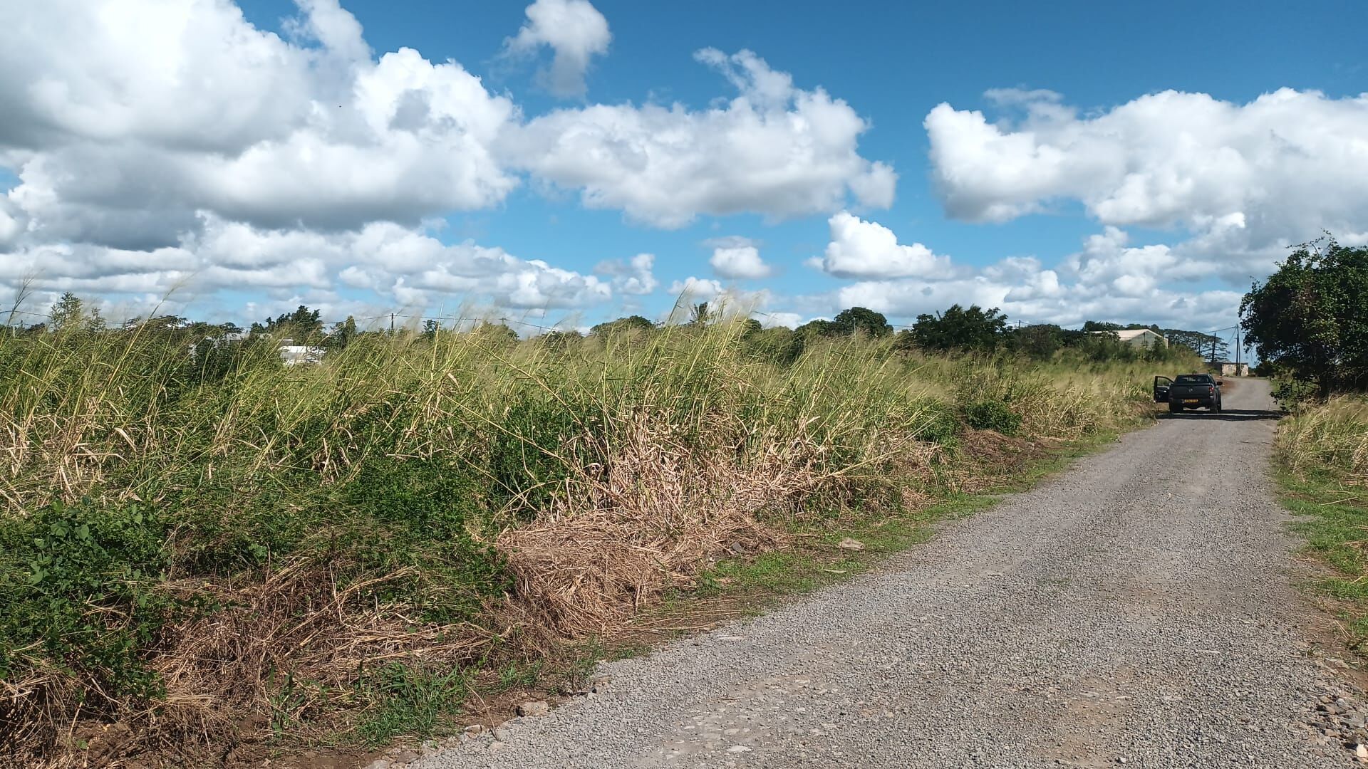 Property – LexpressProperty.com | 798101 | Ref01