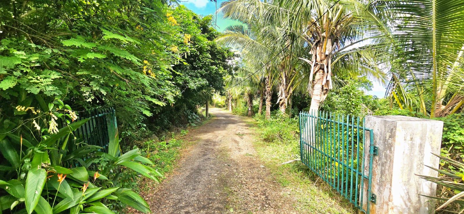 Agricultural land of 2110 m2 for sale in Baie du Cap, south, Mauritius – LexpressProperty.com | 795798 | Ref01