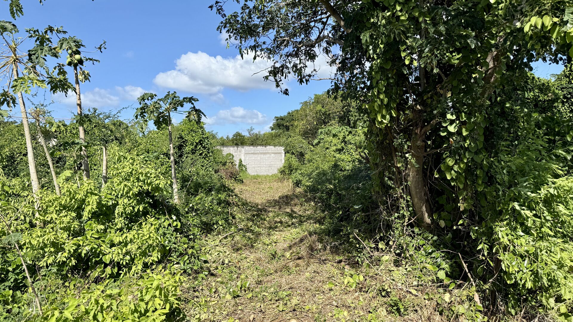 Property – LexpressProperty.com | 761871 | Ref01
