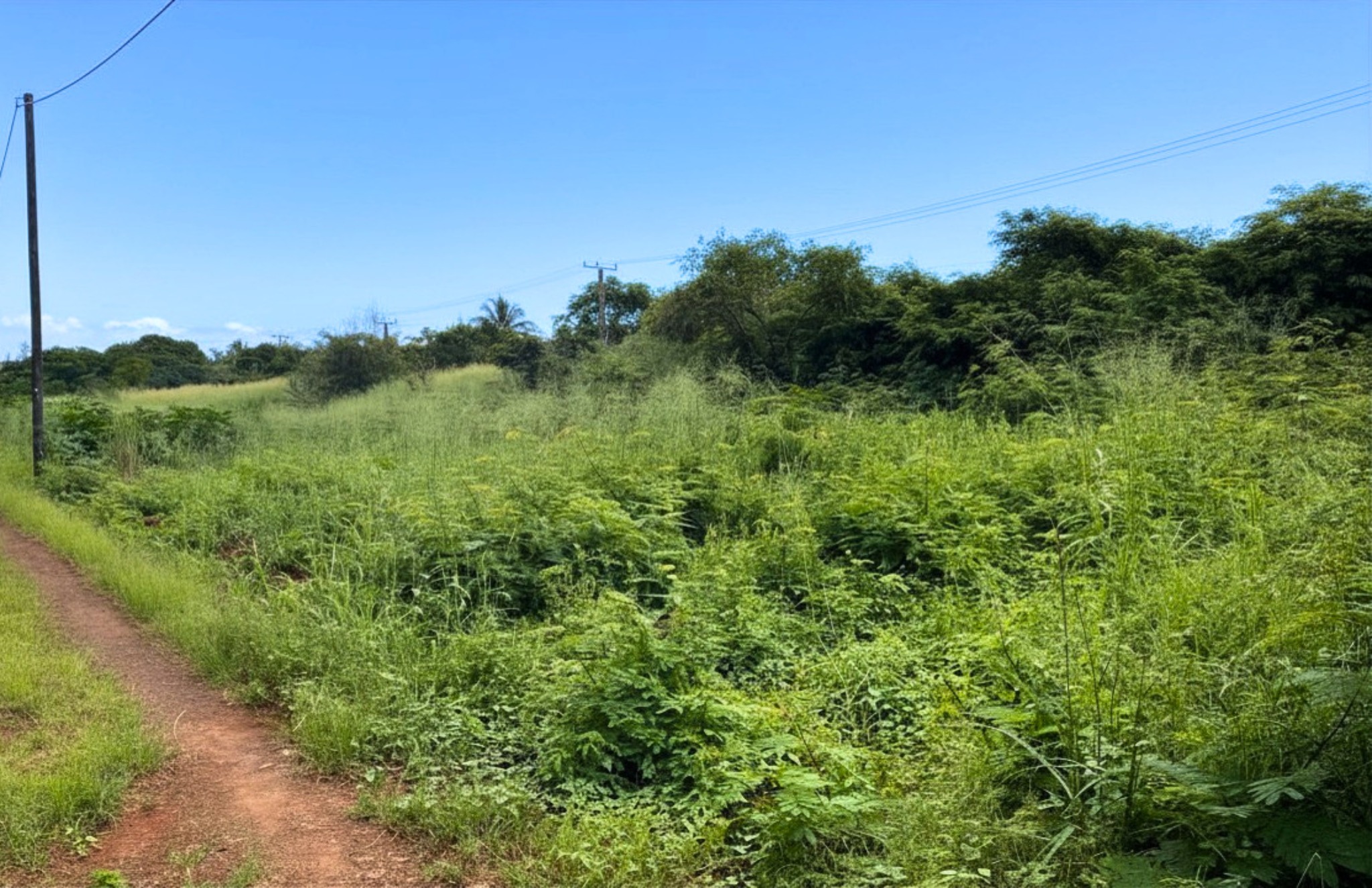 Residential land of 274.36 m2 for sale in Pointe aux Piments, north, Mauritius – LexpressProperty.com | 791126 | Ref01