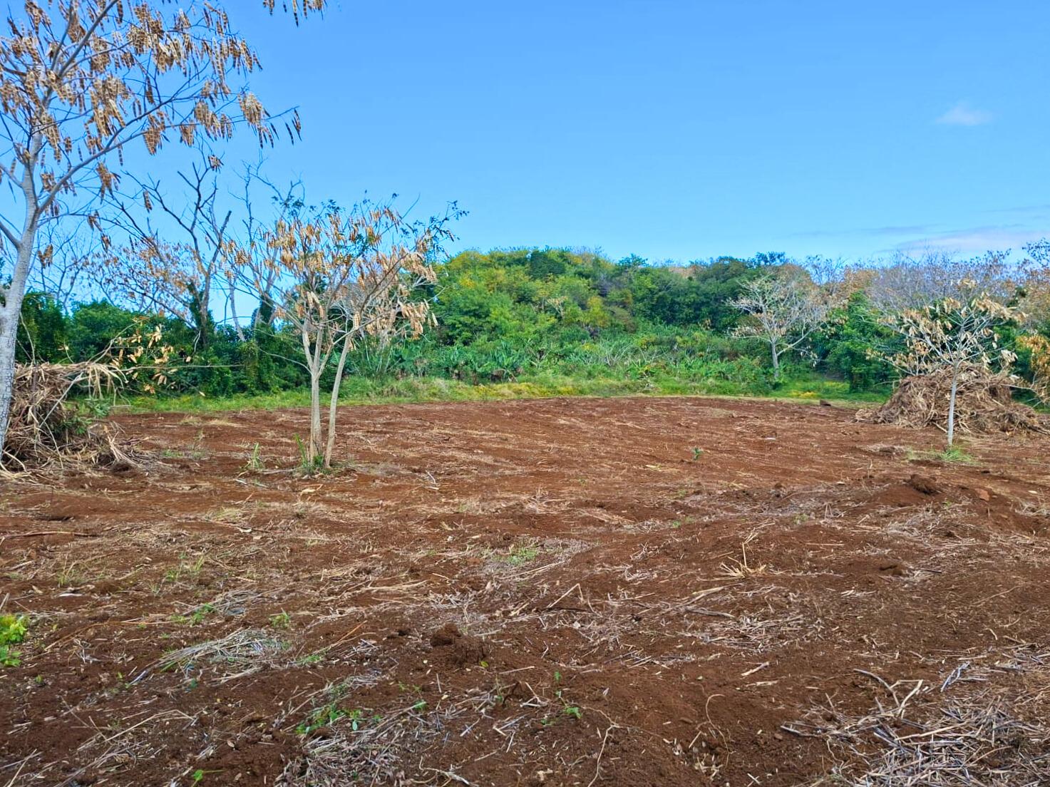 Agricultural land of 2321 m2 for sale in Baie du Cap, south, Mauritius – LexpressProperty.com | 791158 | Ref01