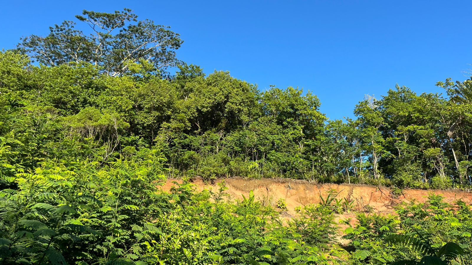 Agricultural land of 10276 m2 for sale in Chamarel, west, Mauritius – LexpressProperty.com | 791714 | Ref01