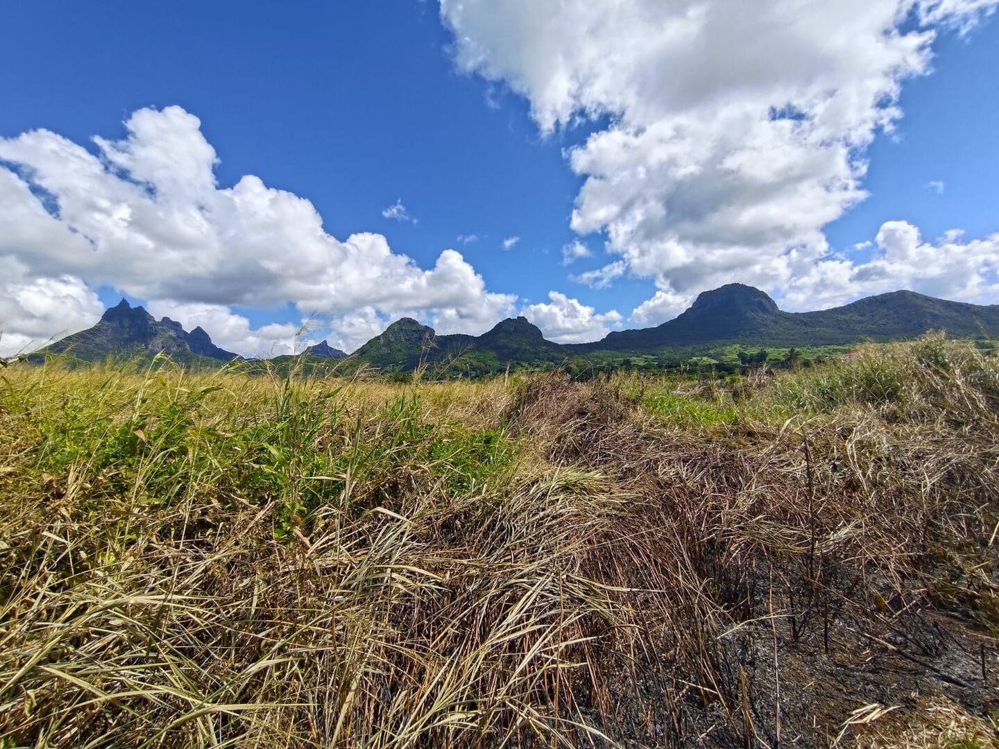 Agricultural land of 7060 m2 for sale in Terre Rouge, north, Mauritius – LexpressProperty.com | 791914 | Ref01