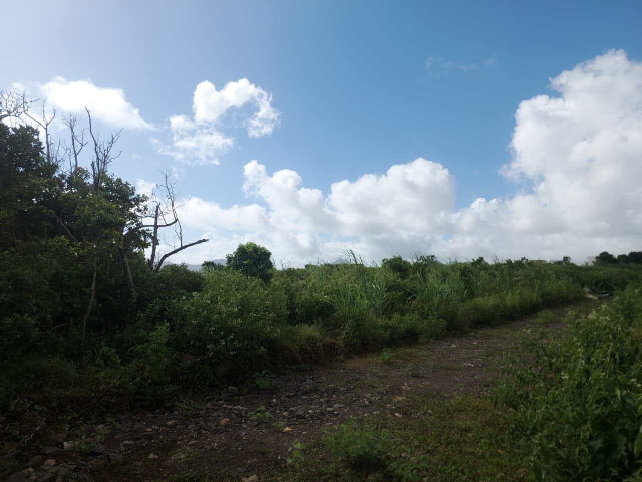 Terrain résidentiel de 232 m2 en vente à Highlands, centre, île Maurice – LexpressProperty.com | 792066 | Ref01