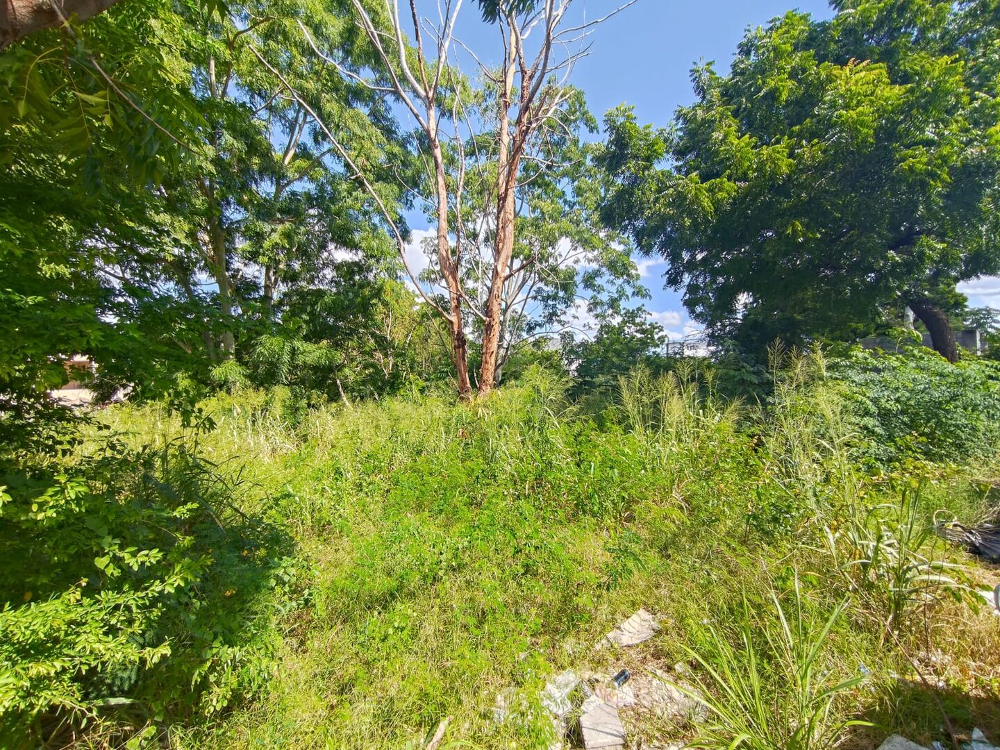 Residential land of 2583 m2 for sale in Riche Terre, north, Mauritius – LexpressProperty.com | 791917 | Ref01
