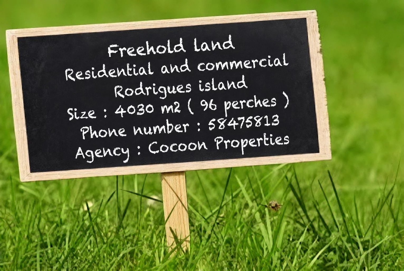 Property – LexpressProperty.com | 792319 | Ref01