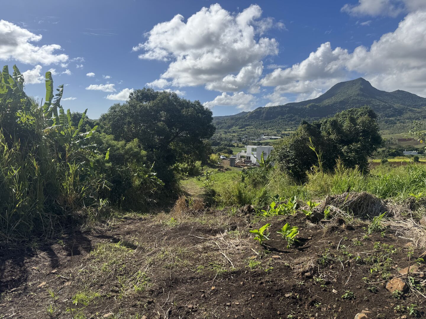 Residential land of 2110 m2 for sale in Crève Coeur, north, Mauritius – LexpressProperty.com | 804574 | Ref01
