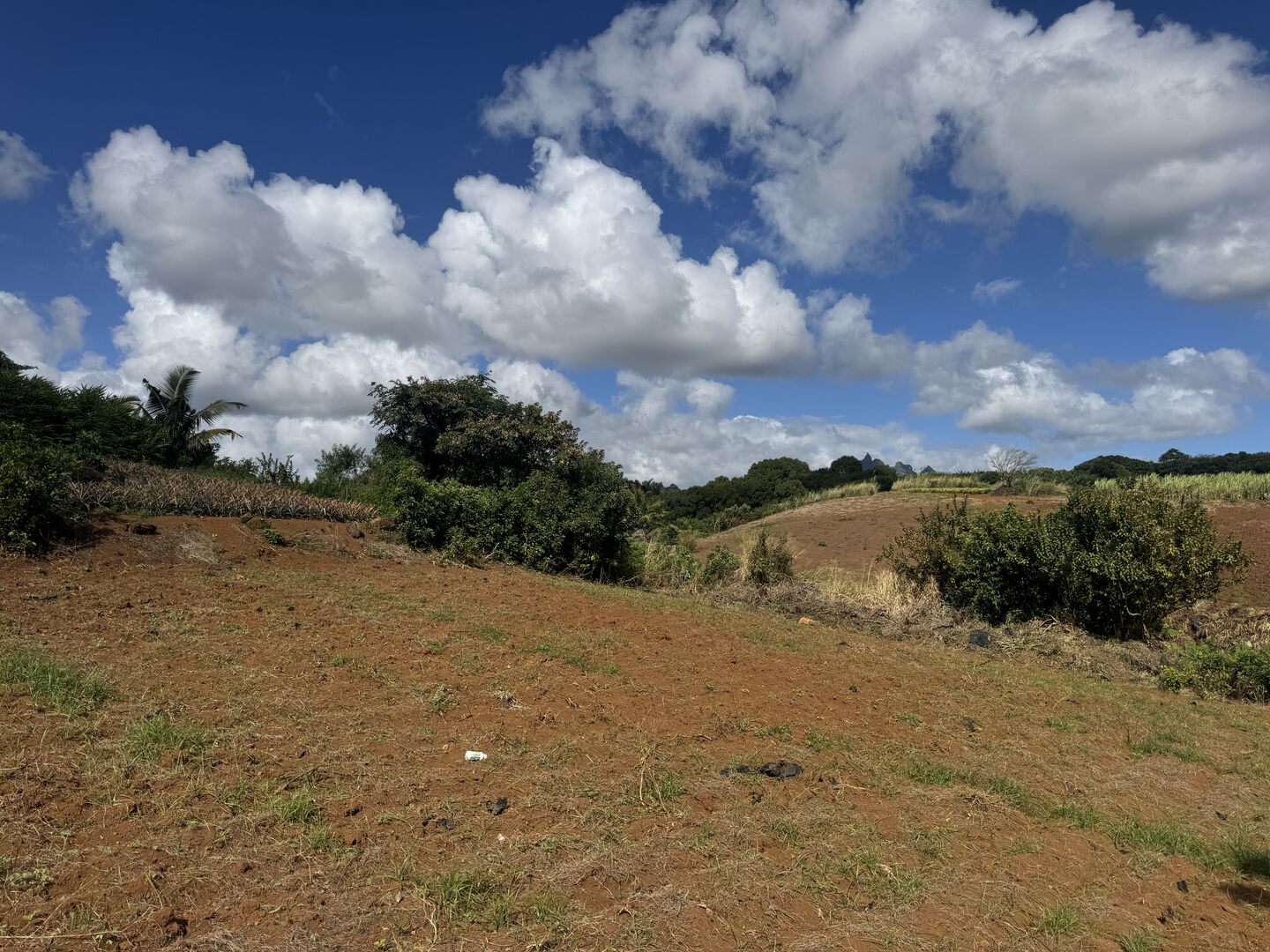 Residential land of 2026 m2 for sale in Congomah, north, Mauritius – LexpressProperty.com | 804575 | Ref01