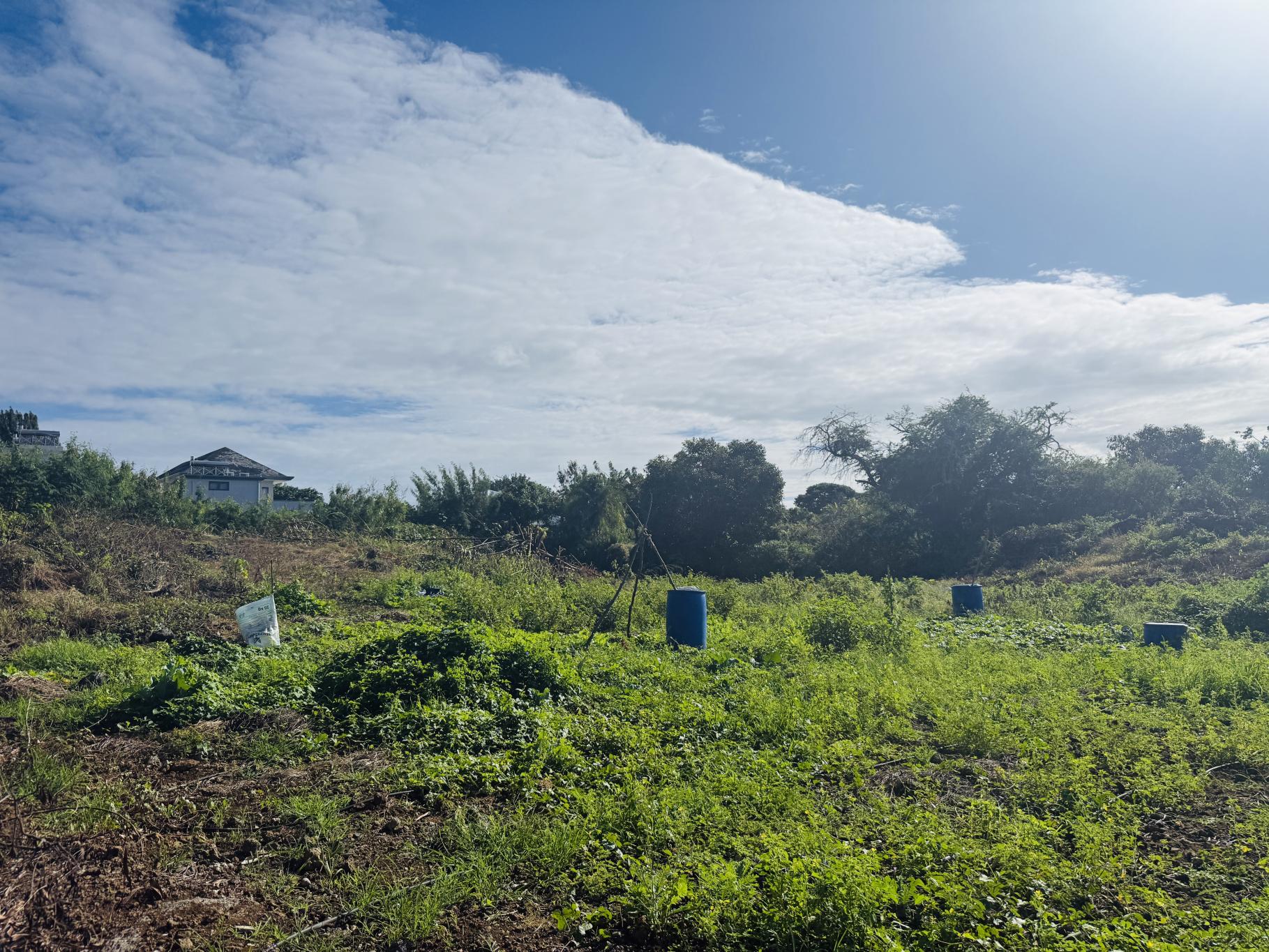 Residential land of 797 m2 for sale in Péreybère, north, Mauritius – LexpressProperty.com | 804554 | Ref01