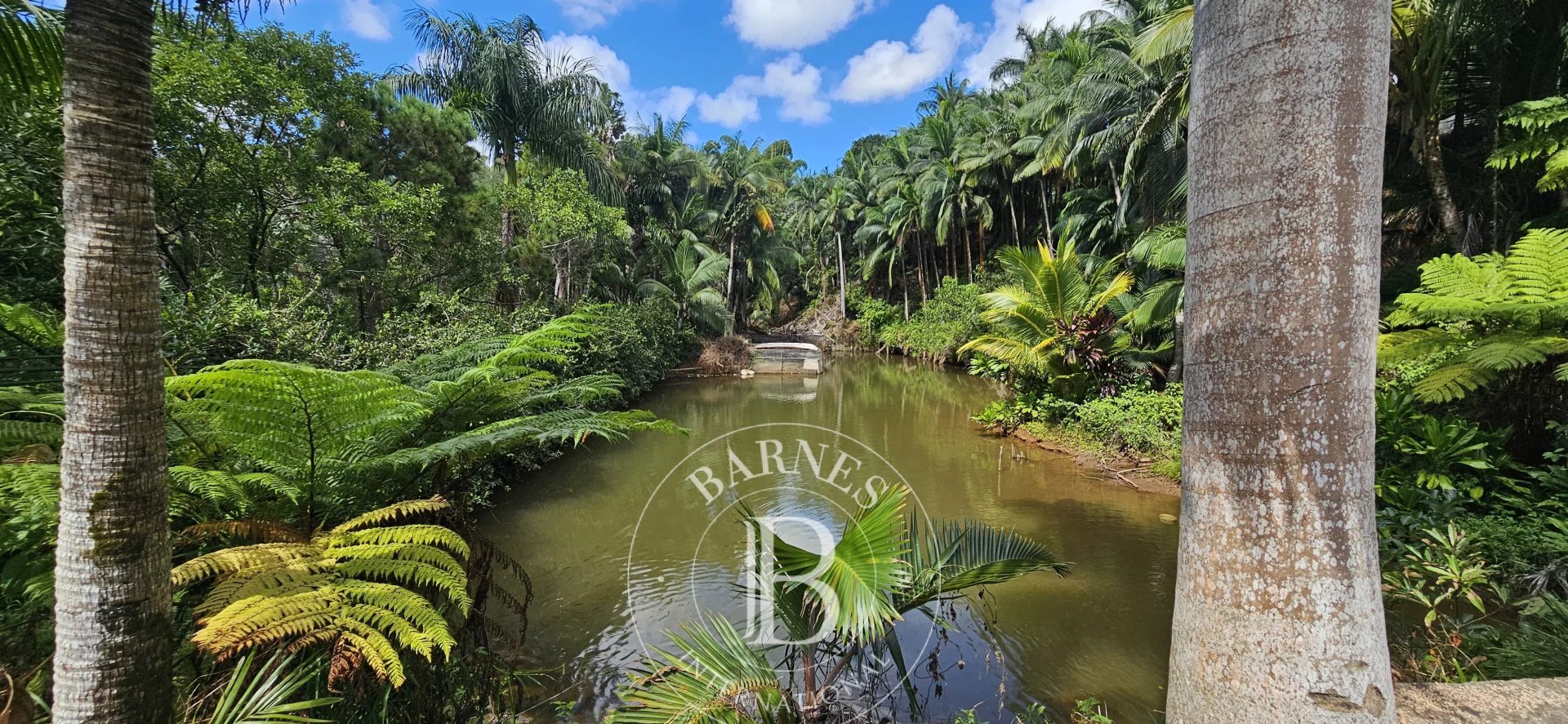Agricultural land of 125453 m2 for sale in Deux Bras, south, Mauritius – LexpressProperty.com | 804468 | Ref01