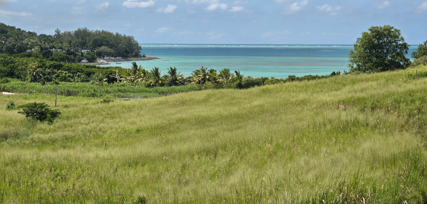 Property – LexpressProperty.com | 804498 | Ref01