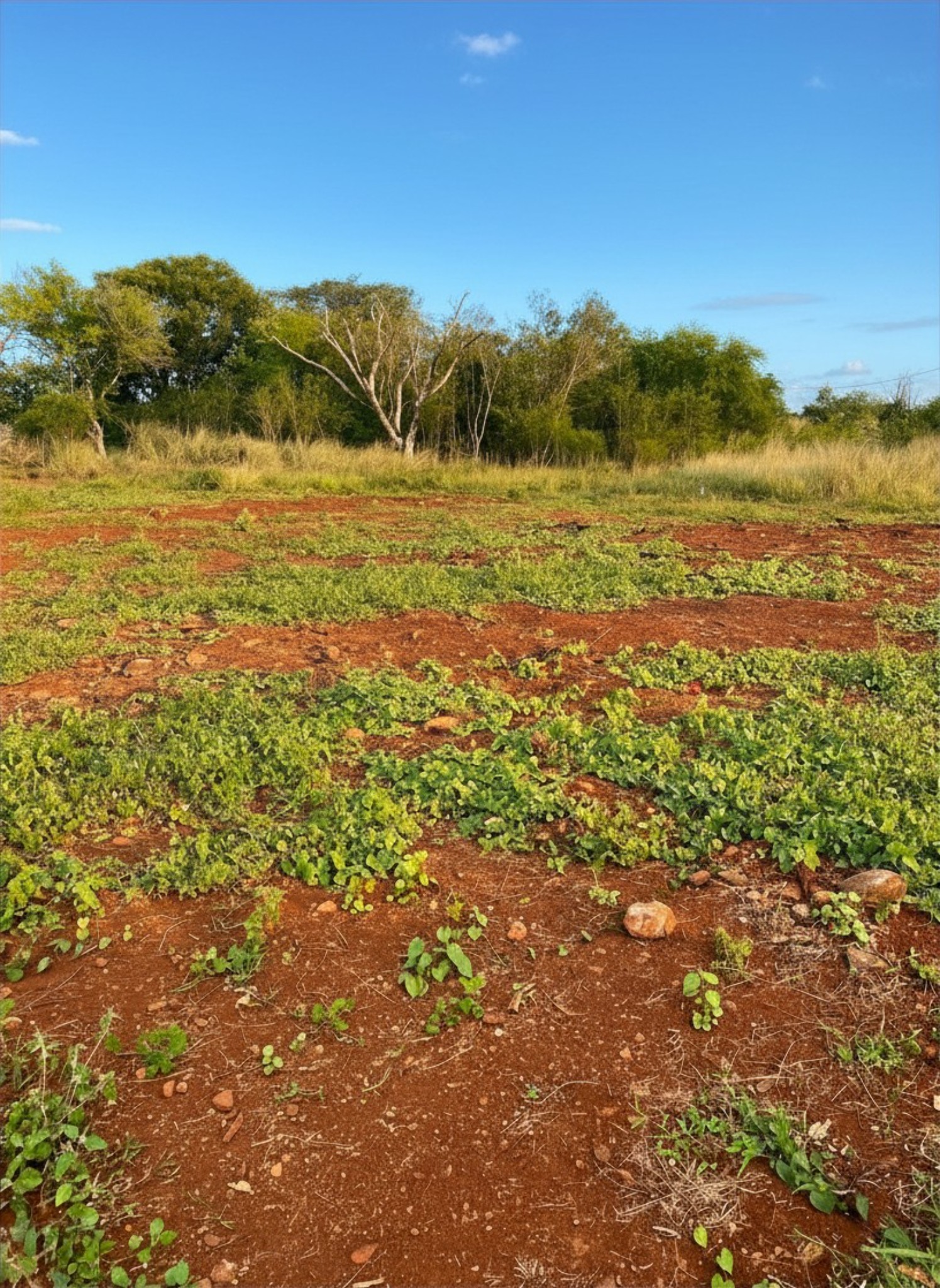 Residential land of 1013.01 m2 for sale in Pointe aux Piments, north, Mauritius – LexpressProperty.com | 805315 | Ref01