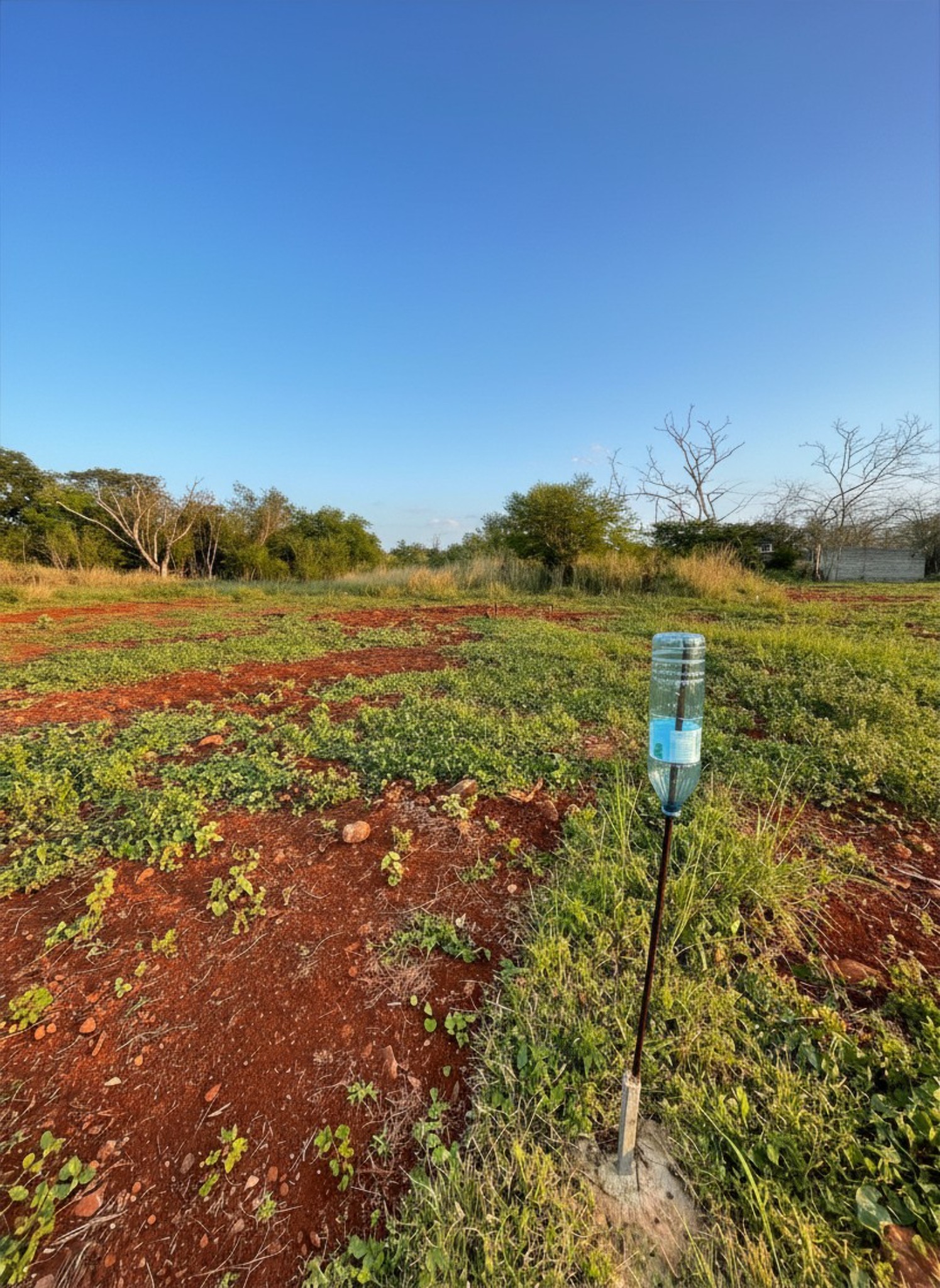 Residential land of 506.5 m2 for sale in Pointe aux Piments, north, Mauritius – LexpressProperty.com | 805314 | Ref01
