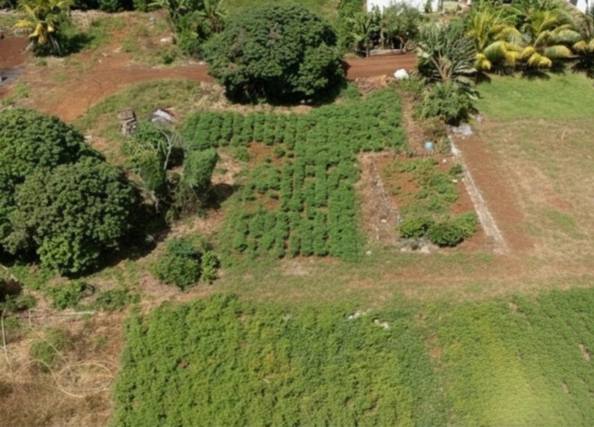 Property – LexpressProperty.com | 806444 | Ref01