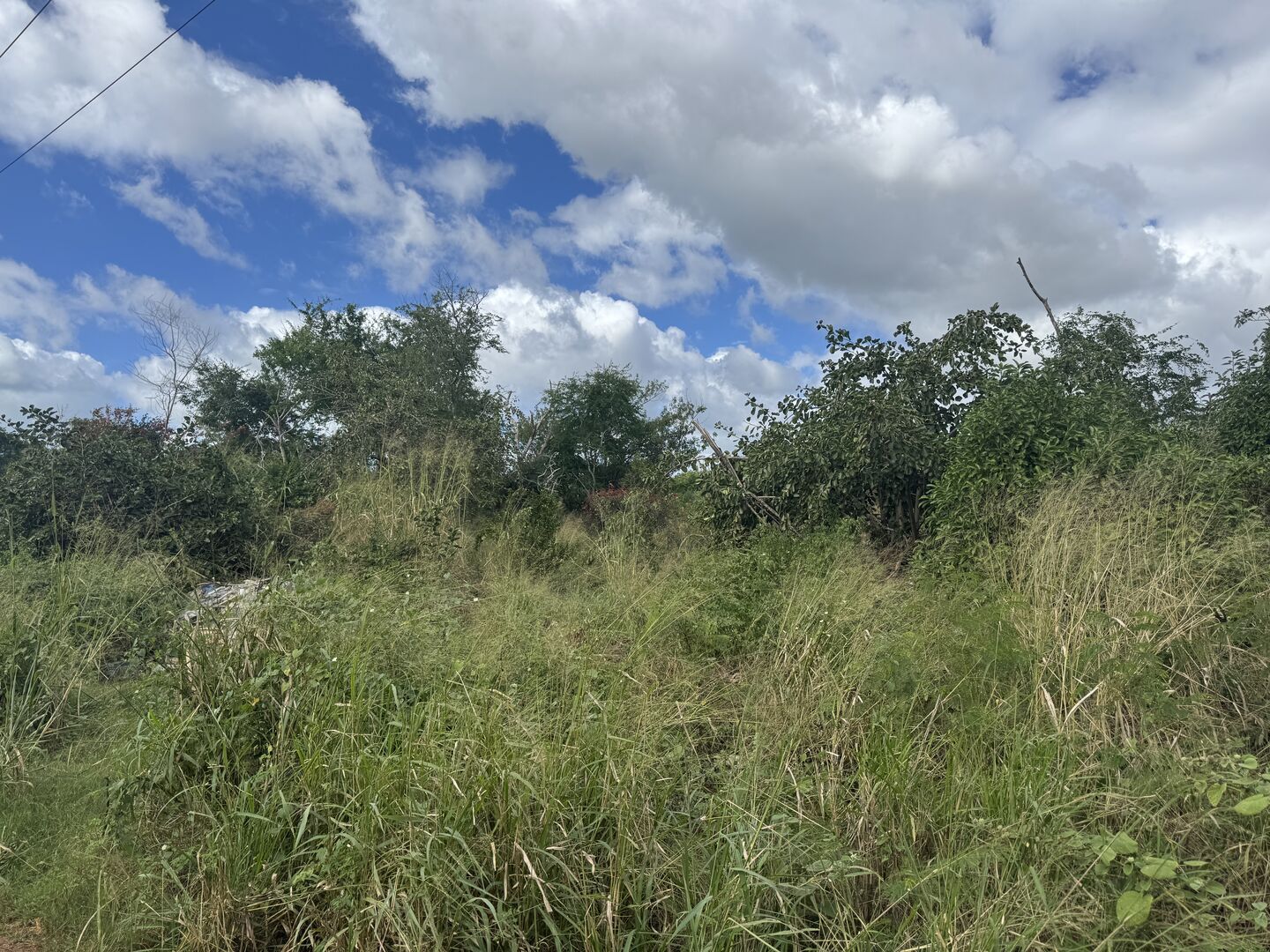 Residential land of 1477 m2 for sale in Pointe aux Piments, north, Mauritius – LexpressProperty.com | 806967 | Ref01
