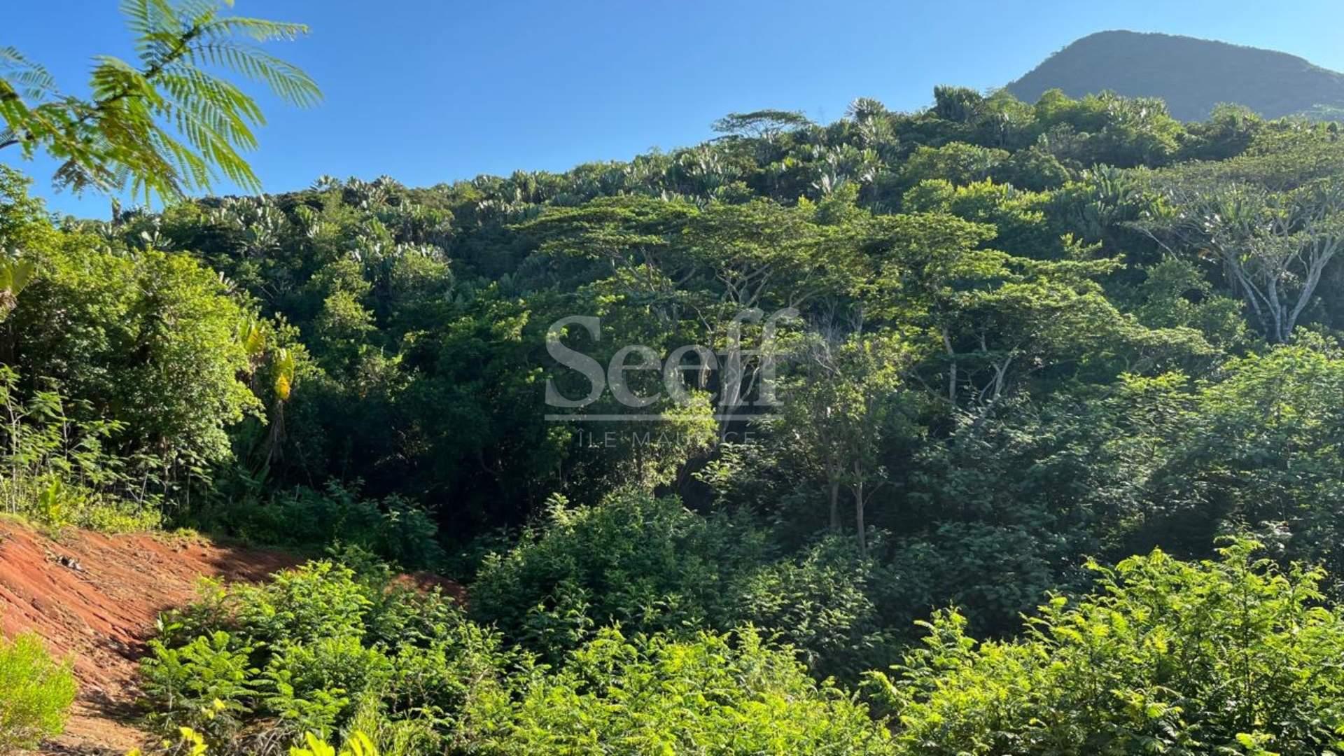 Agricultural land of 10276 m2 for sale in Chamarel, west, Mauritius – LexpressProperty.com | 806785 | Ref01