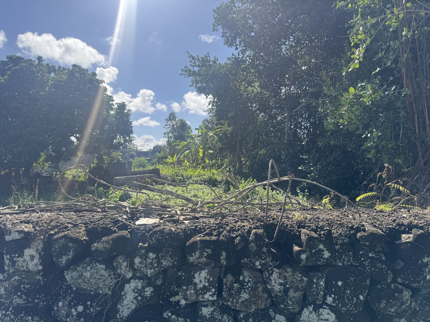 Residential land of 4520 m2 for sale in Plaine des Roches, north, Mauritius – LexpressProperty.com | 806969 | Ref01