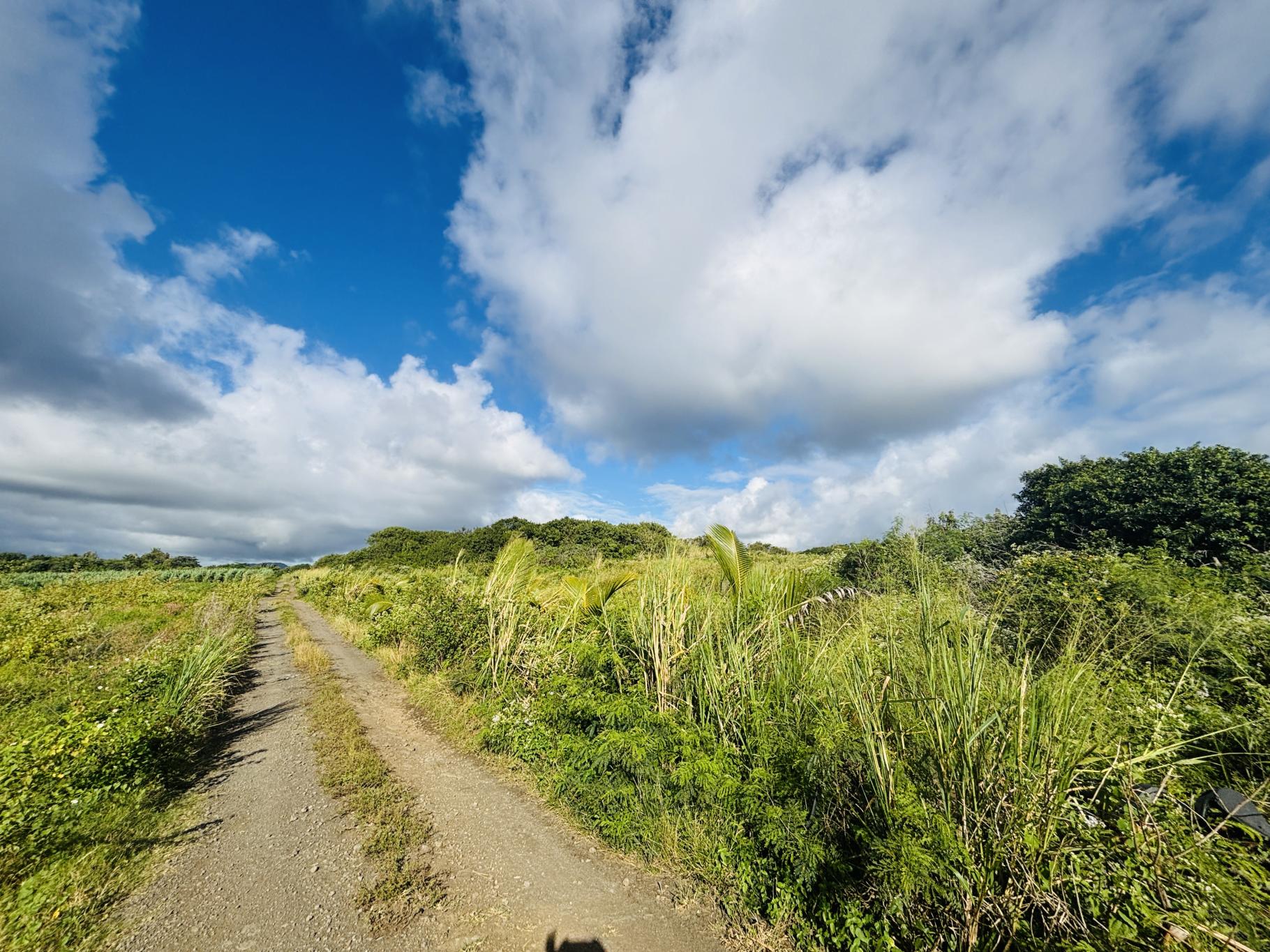 Residential land of 4221 m2 for sale in Poste de Flacq, east, Mauritius – LexpressProperty.com | 806941 | Ref01