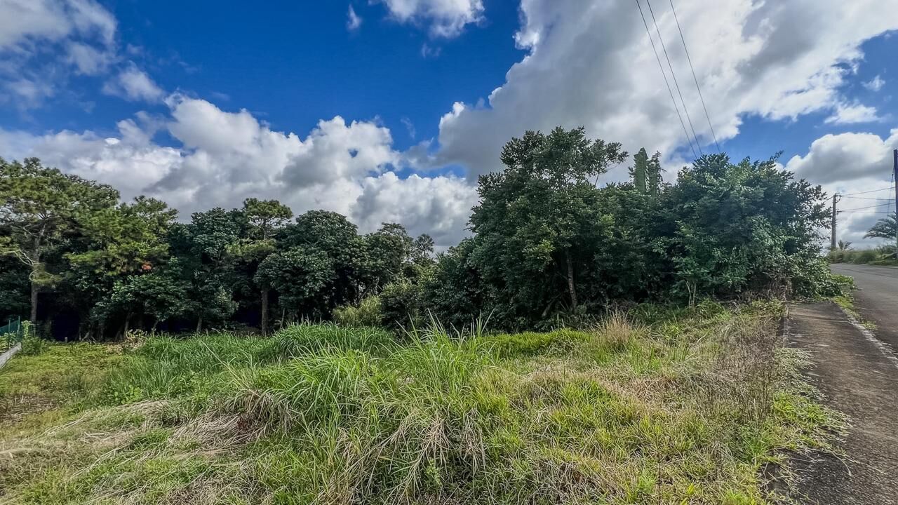 Residential land of 915 m2 for sale in Phoenix, center, Mauritius – LexpressProperty.com | 806727 | Ref01