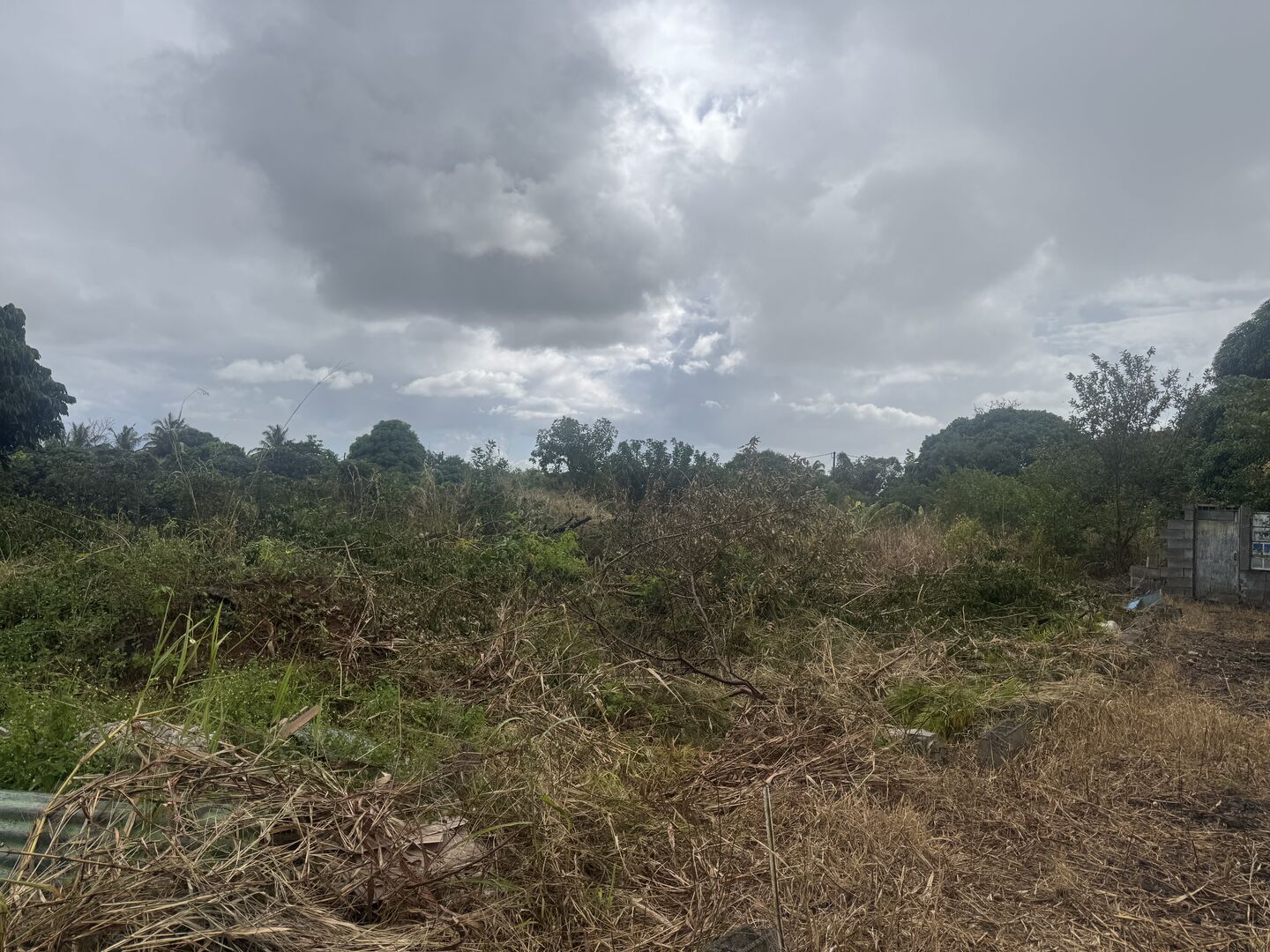 Agricultural land of 4977 m2 for sale in Goodlands, north, Mauritius – LexpressProperty.com | 807489 | Ref01