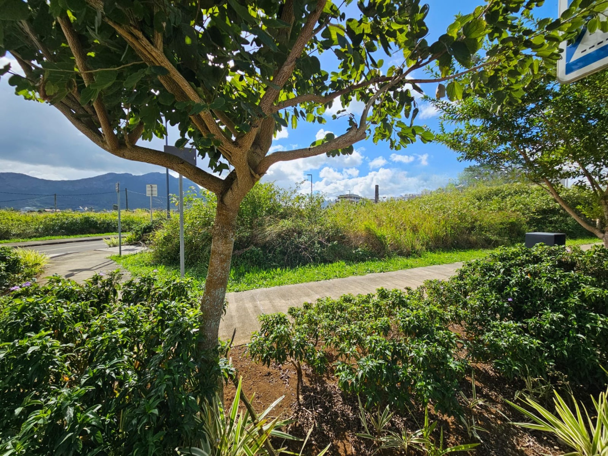 Commercial land of 1728 m2 for sale in Moka, center, Mauritius – LexpressProperty.com | 802563 | Ref01