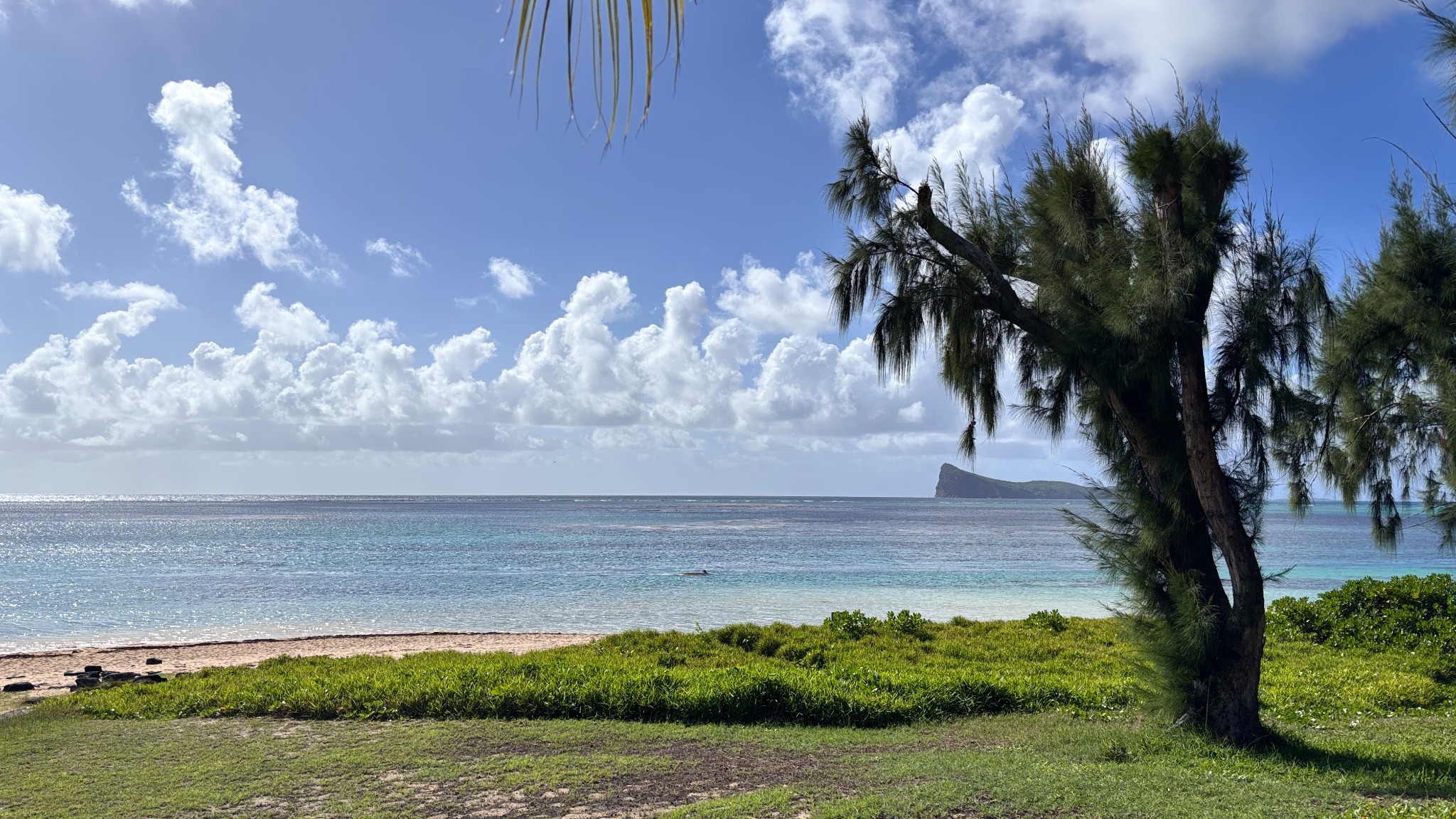 House / Villa of 3 bedrooms for rent in Bain Boeuf, north, Mauritius – LexpressProperty.com | 801431 | Ref01