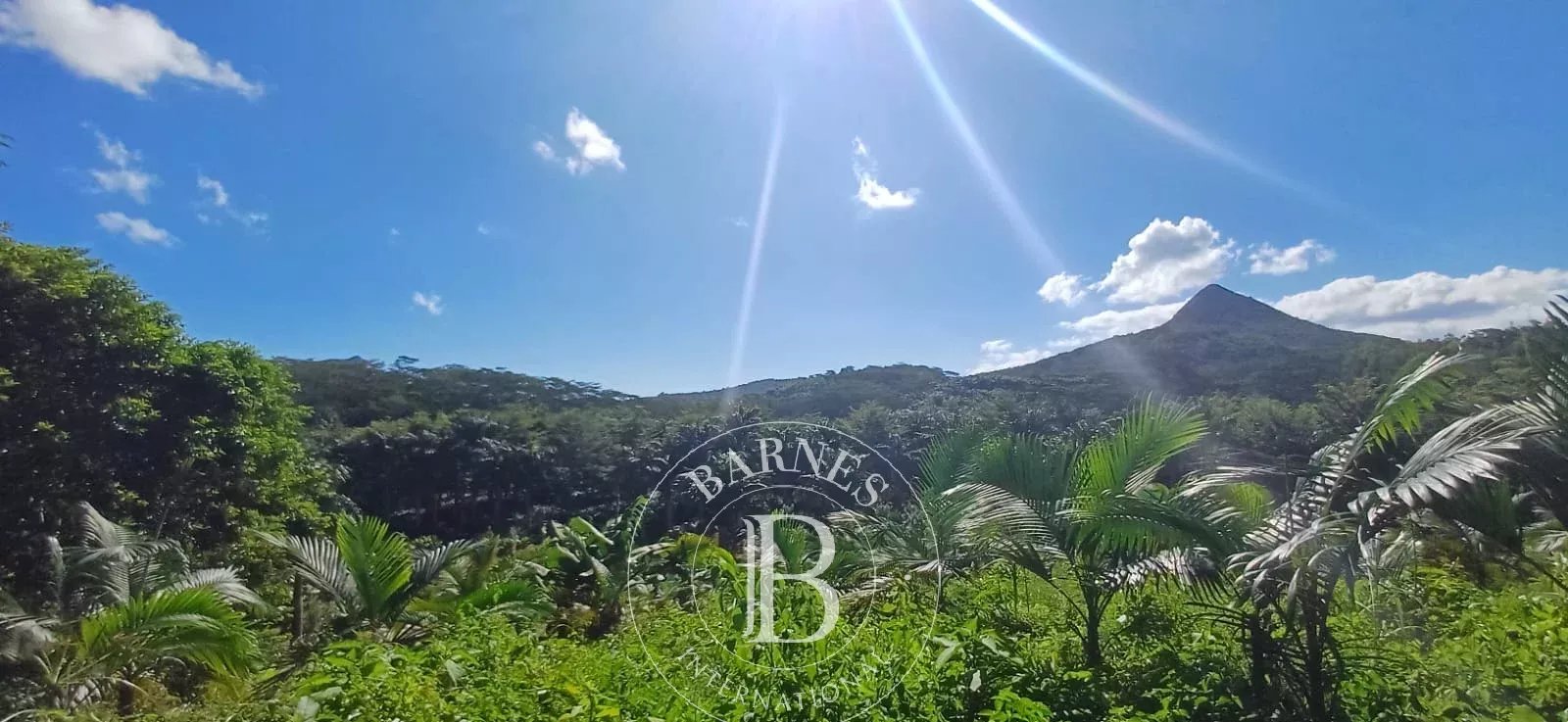 Agricultural land of 5563 m2 for sale in Chamarel, west, Mauritius – LexpressProperty.com | 801178 | Ref01