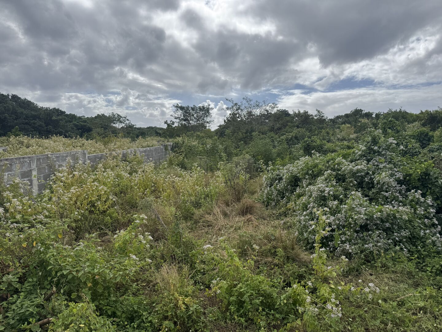 Residential land of 421 m2 for sale in Goodlands, north, Mauritius – LexpressProperty.com | 809715 | Ref01