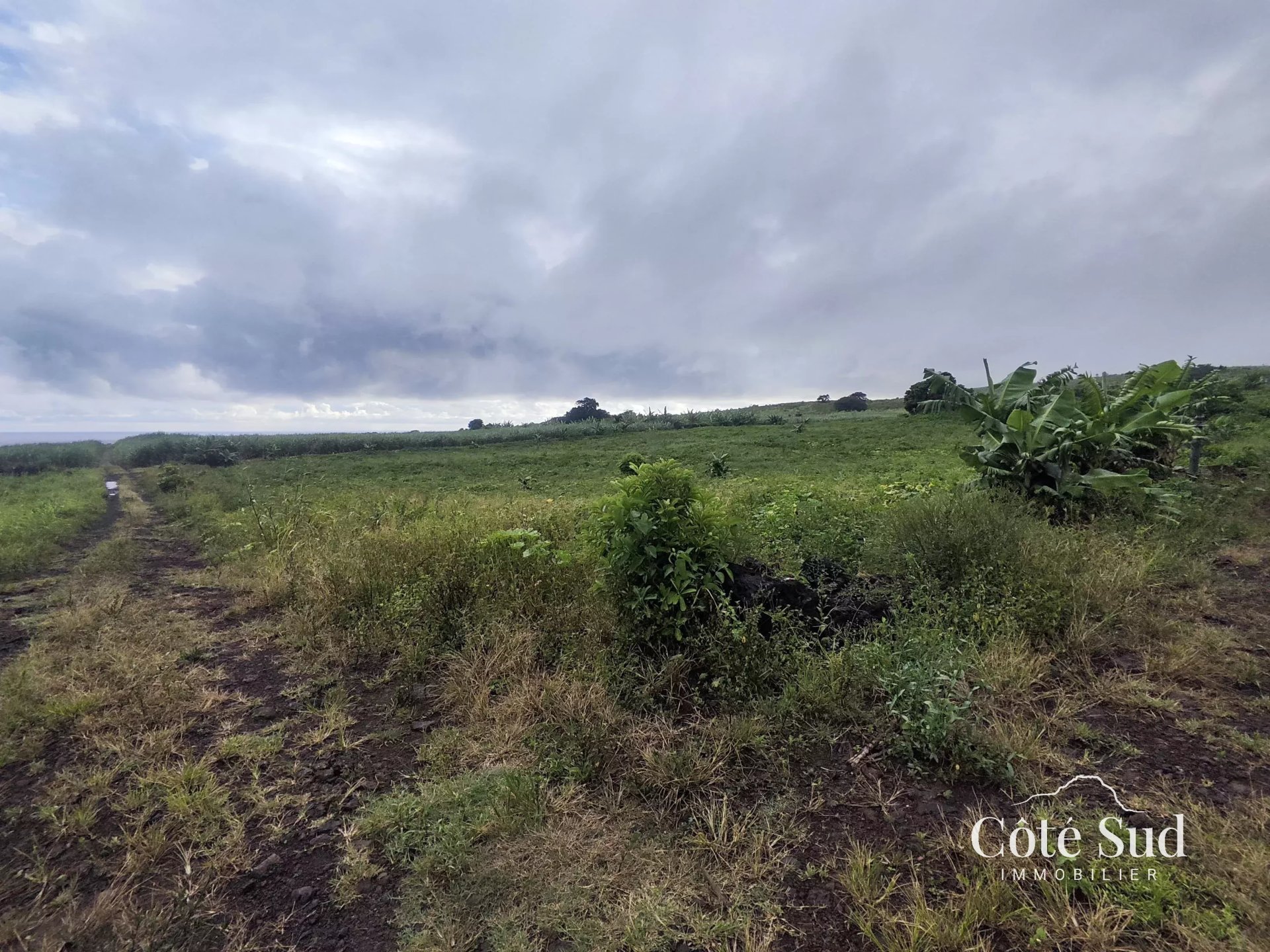 Terrain agricole de 13760 m2 en vente à Chamouny, sud, île Maurice – LexpressProperty.com | 809580 | Ref01
