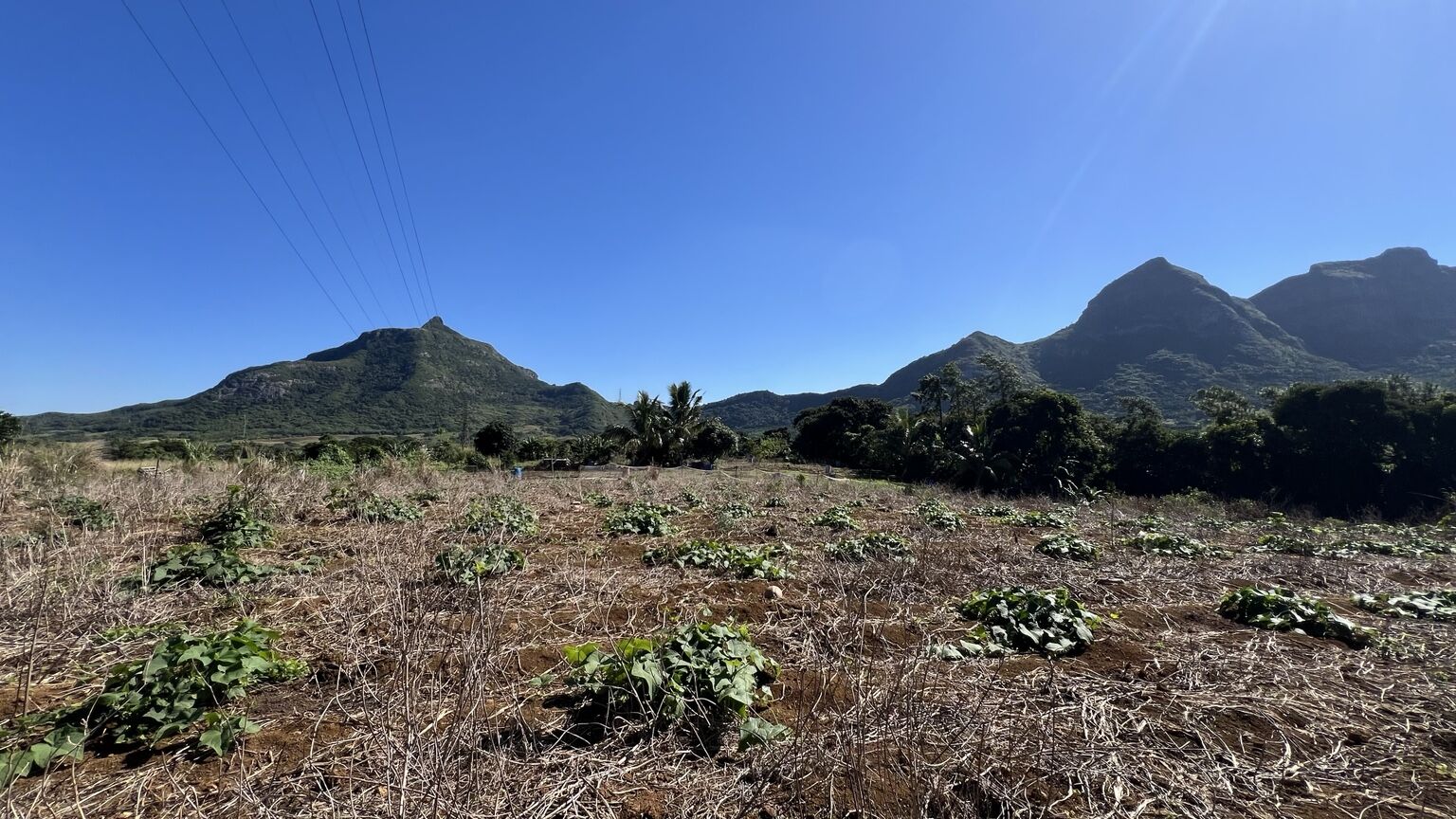 Agricultural land of 3651 m2 for sale in Moka, center, Mauritius – LexpressProperty.com | 809728 | Ref01