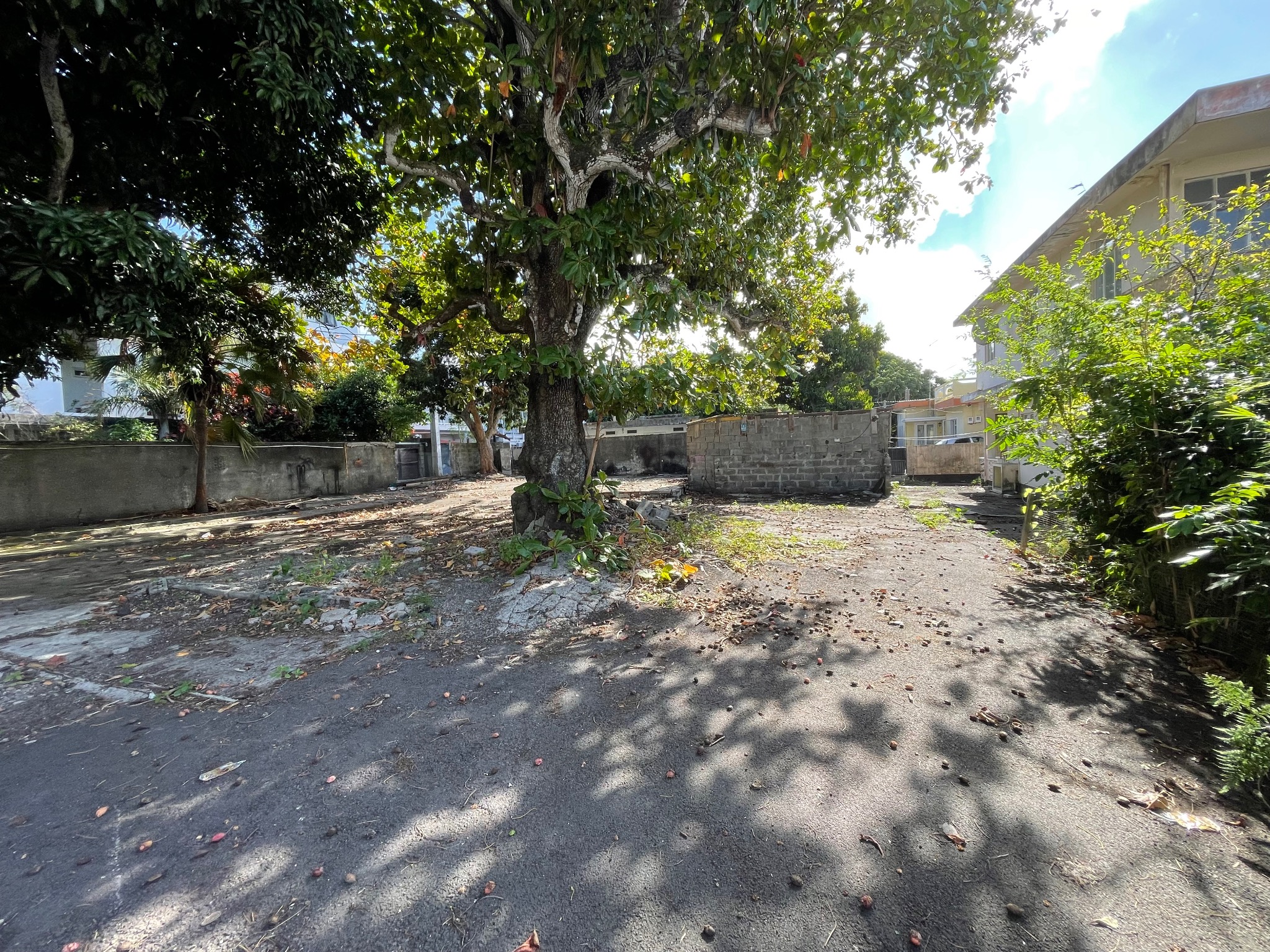 Property – LexpressProperty.com | 804467 | Ref01