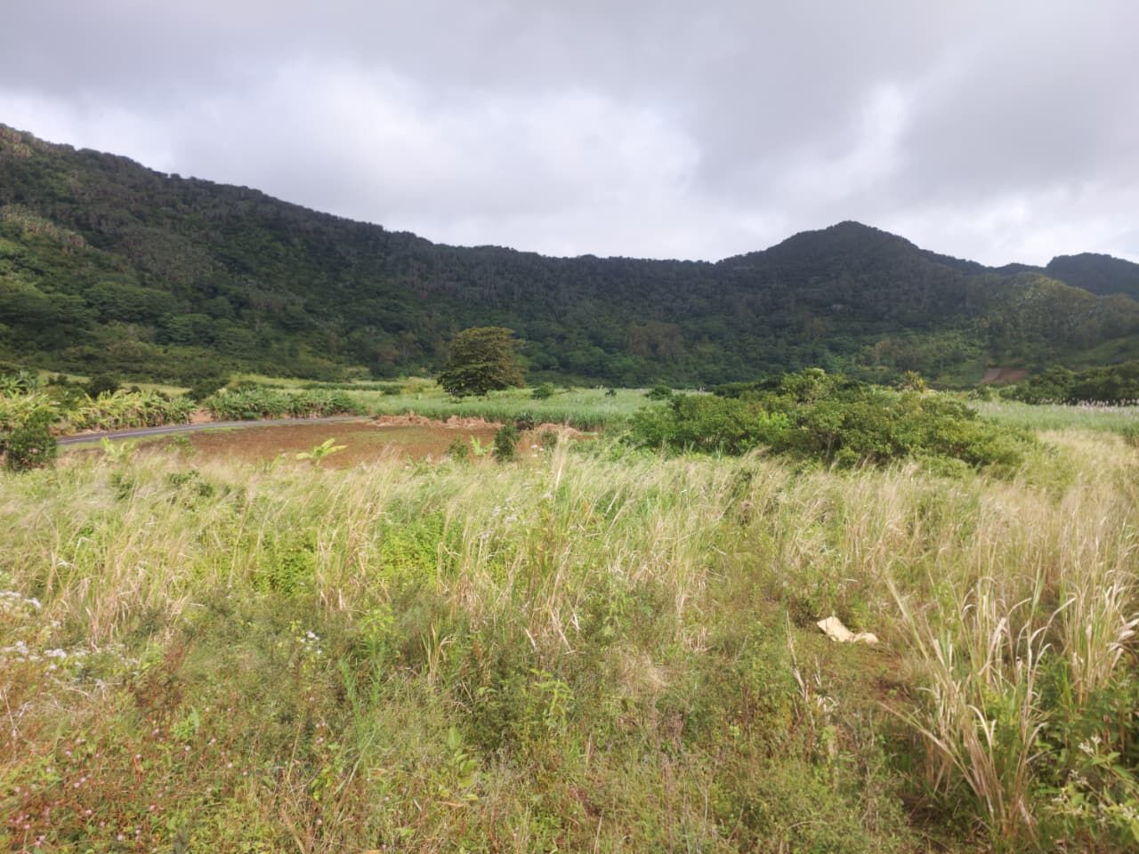 Terrain agricole de 3943 m2 en vente à Camp de Masque Pavé, est, île Maurice – LexpressProperty.com | 810180 | Ref01