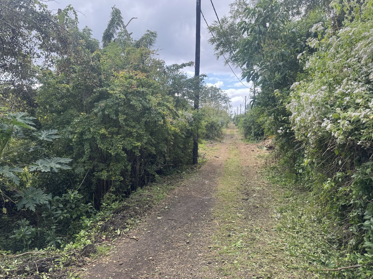 Residential land of 2110 m2 for sale in Calodyne, north, Mauritius – LexpressProperty.com | 810181 | Ref01