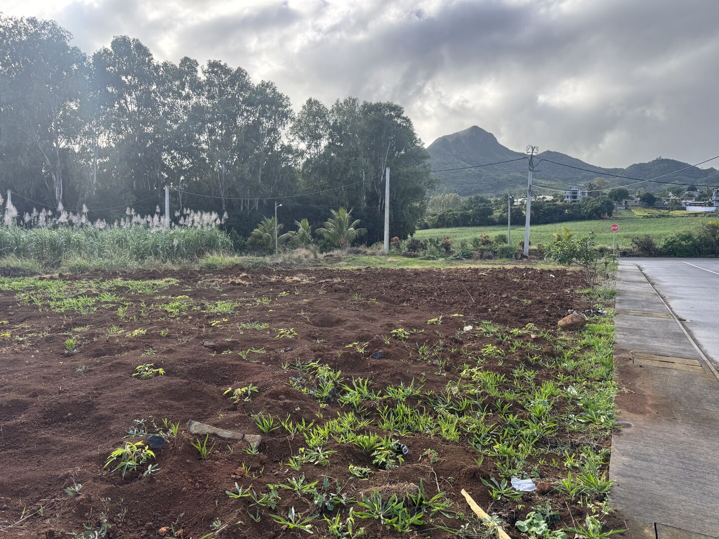Residential land of 953 m2 for sale in Crève Coeur, north, Mauritius – LexpressProperty.com | 810425 | Ref01