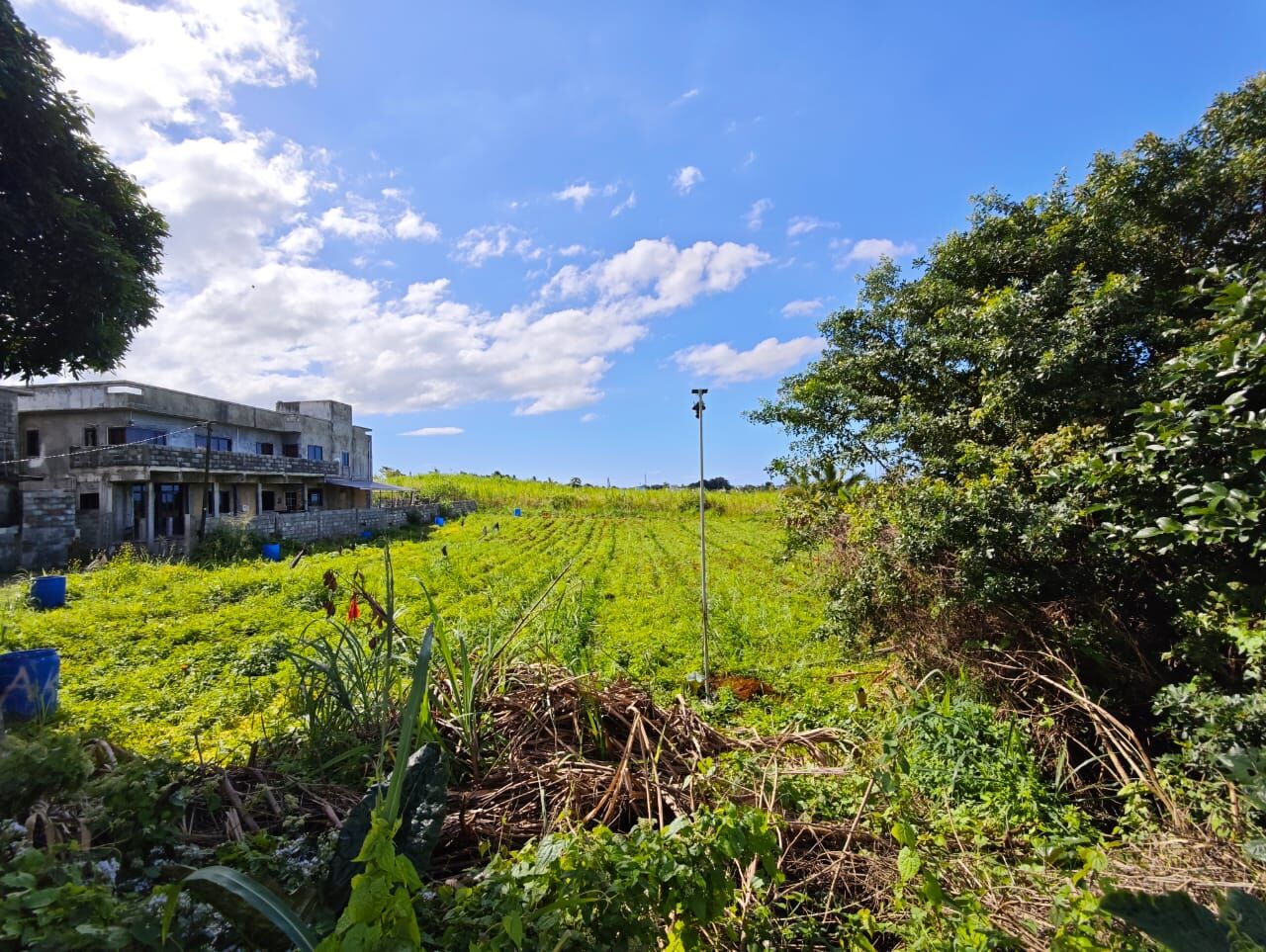 Terrain résidentiel de 1055 m2 en vente à Barlow, nord, île Maurice – LexpressProperty.com | 810653 | Ref01