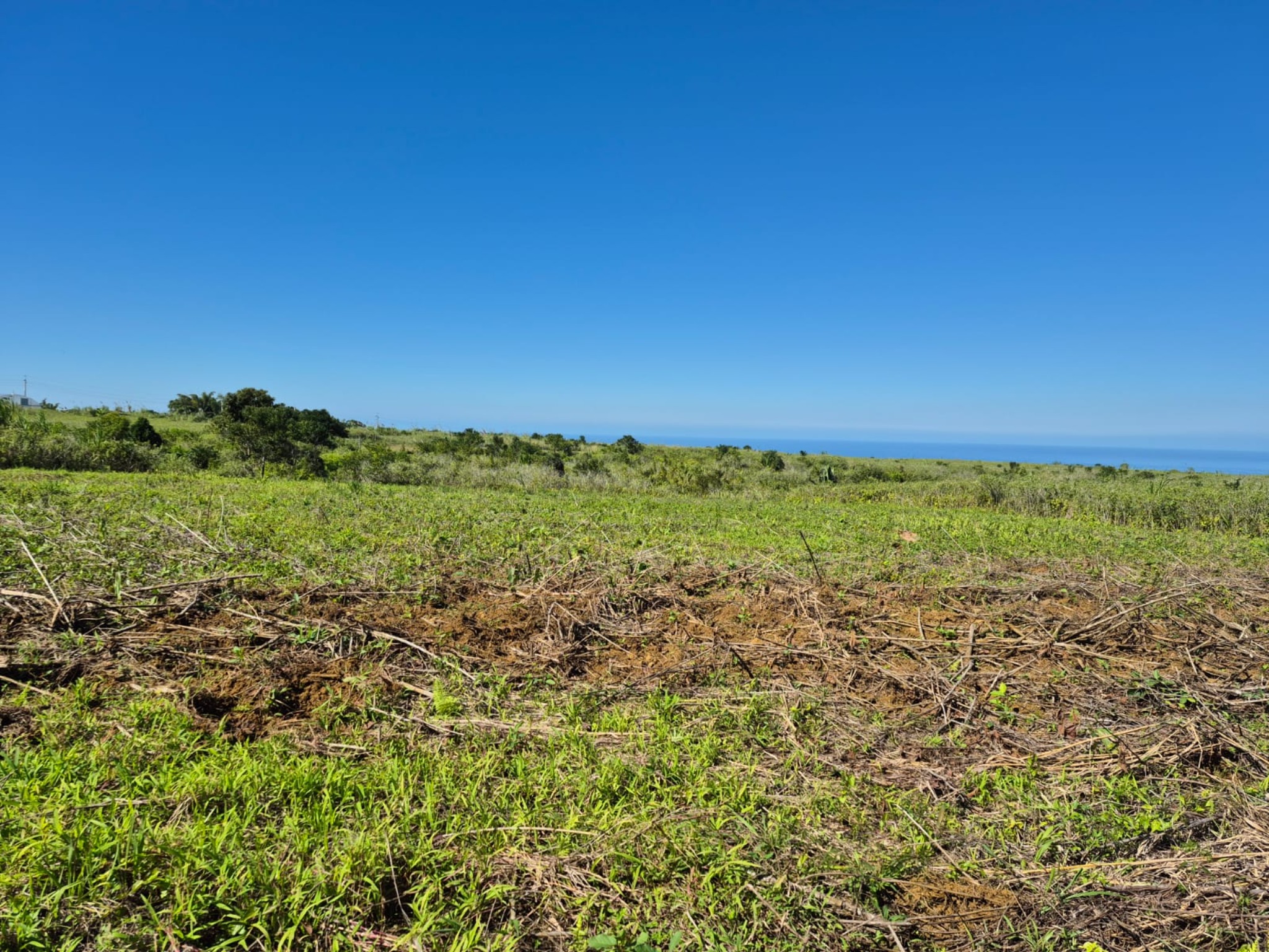 Property – LexpressProperty.com | 709160 | Ref01