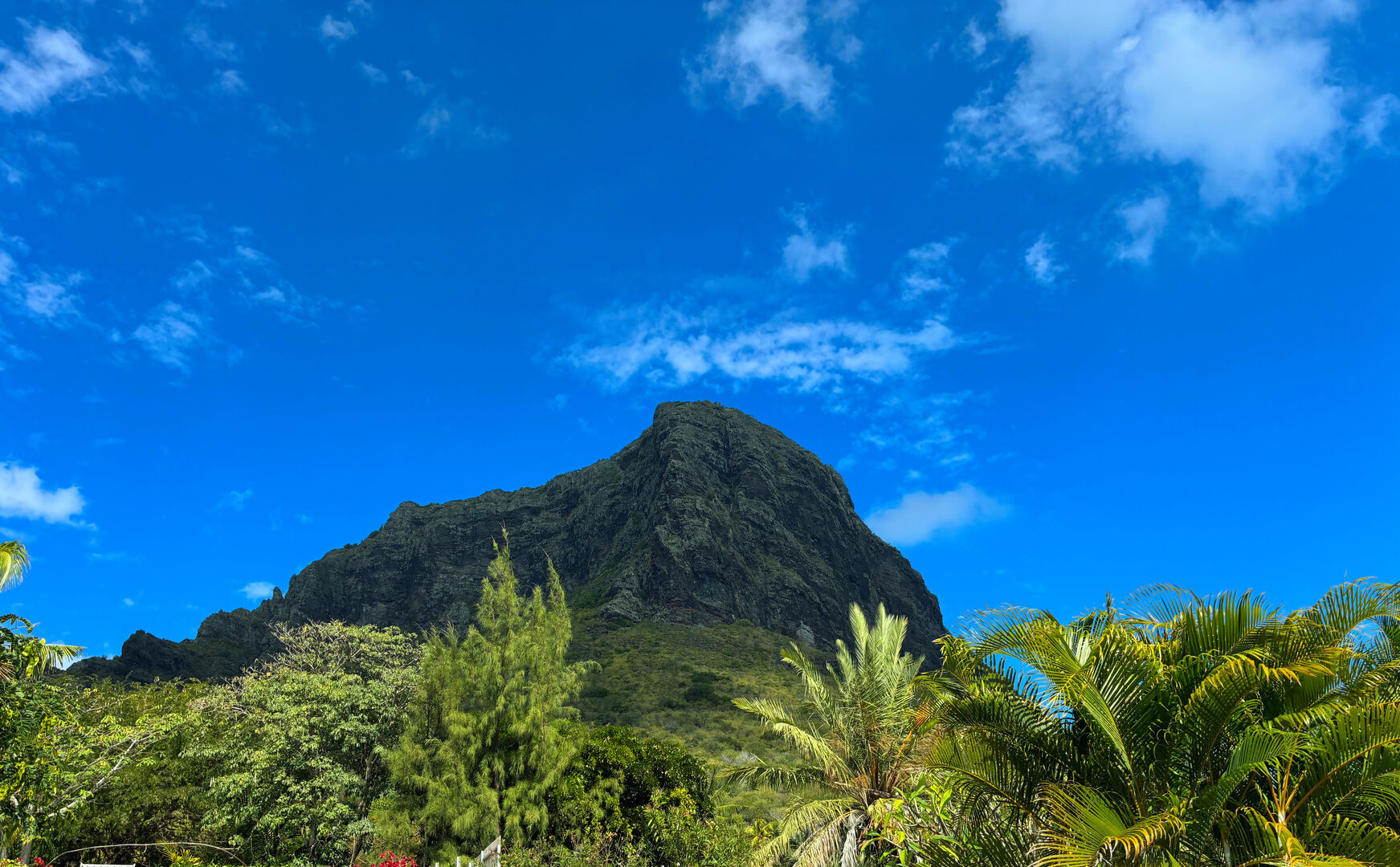 Residential land of 2017 m2 for sale in Le Morne, west, Mauritius – LexpressProperty.com | 811152 | Ref01