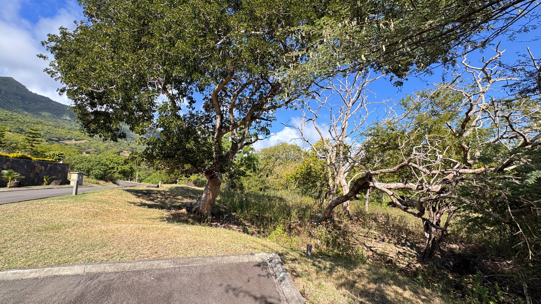 Property – LexpressProperty.com | 808187 | Ref01