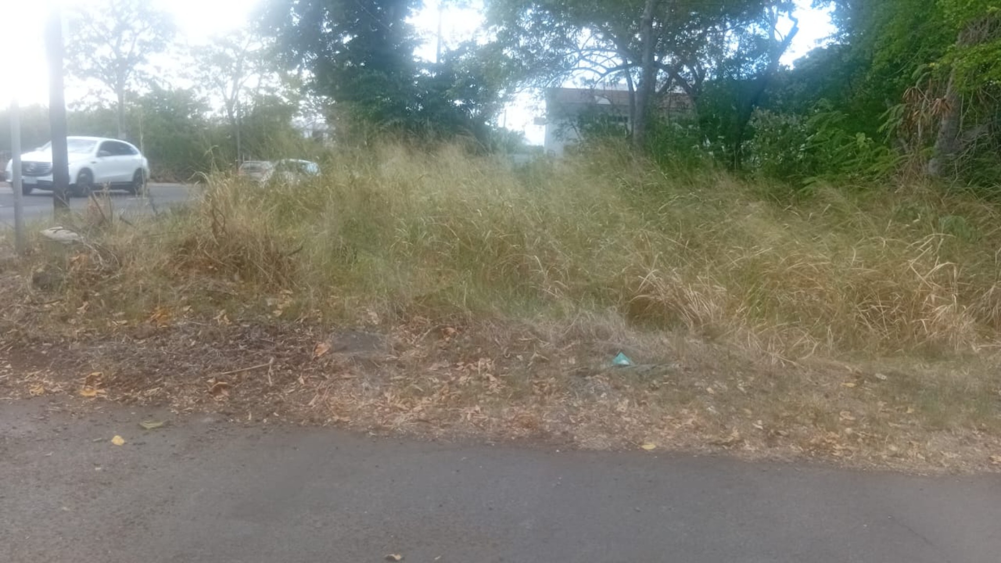 Residential land of 928.5914 m² for sale in Coromandel, center, Mauritius – LexpressProperty.com | 810605 | Ref01