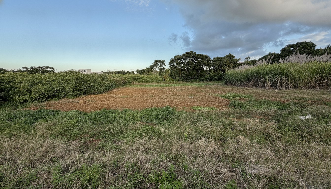 Property – LexpressProperty.com | 805346 | Ref01